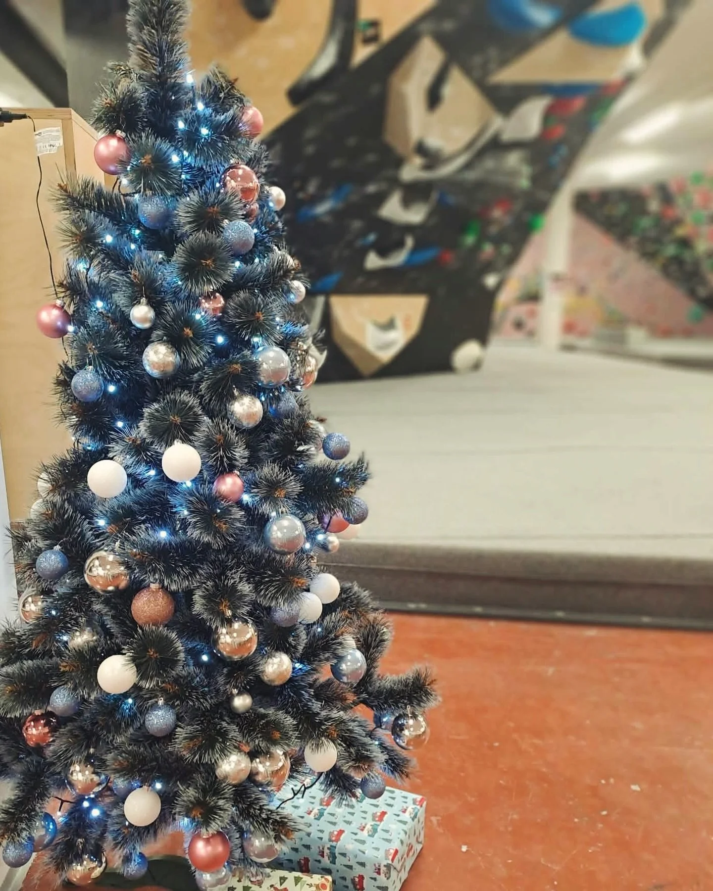 Naj bo novo leto polno dobrih oprijemov in vrhov, na katere boste ponosni. Želimo vam mirne božične praznike in srečno 2026! ✨

#klajmber #plezanje #plezanjejezakon #mariborpleza