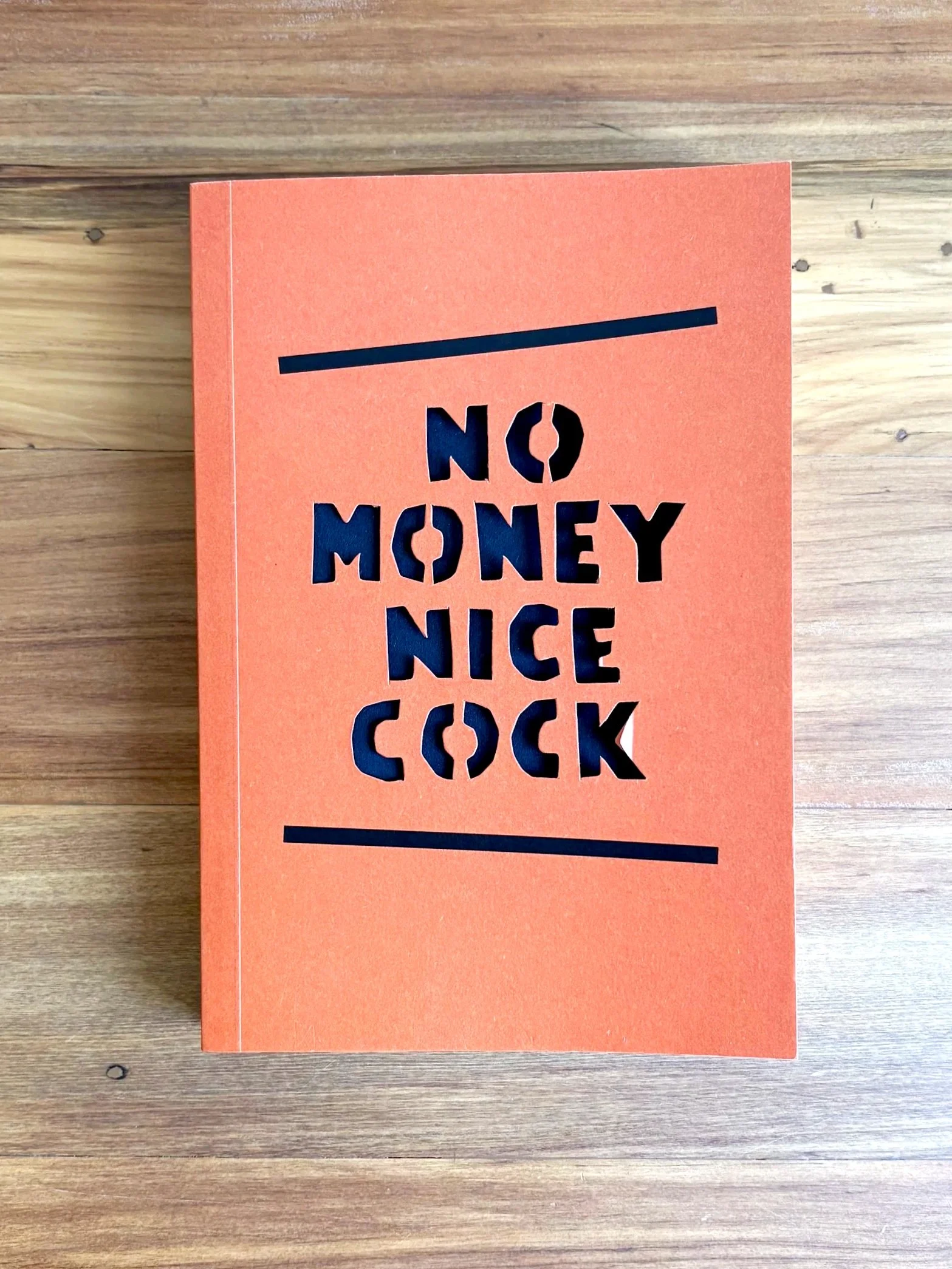 A tribute to trans life in Aotearoa: Will Hansen reviews No Money Nice Cock by Victor Brooks