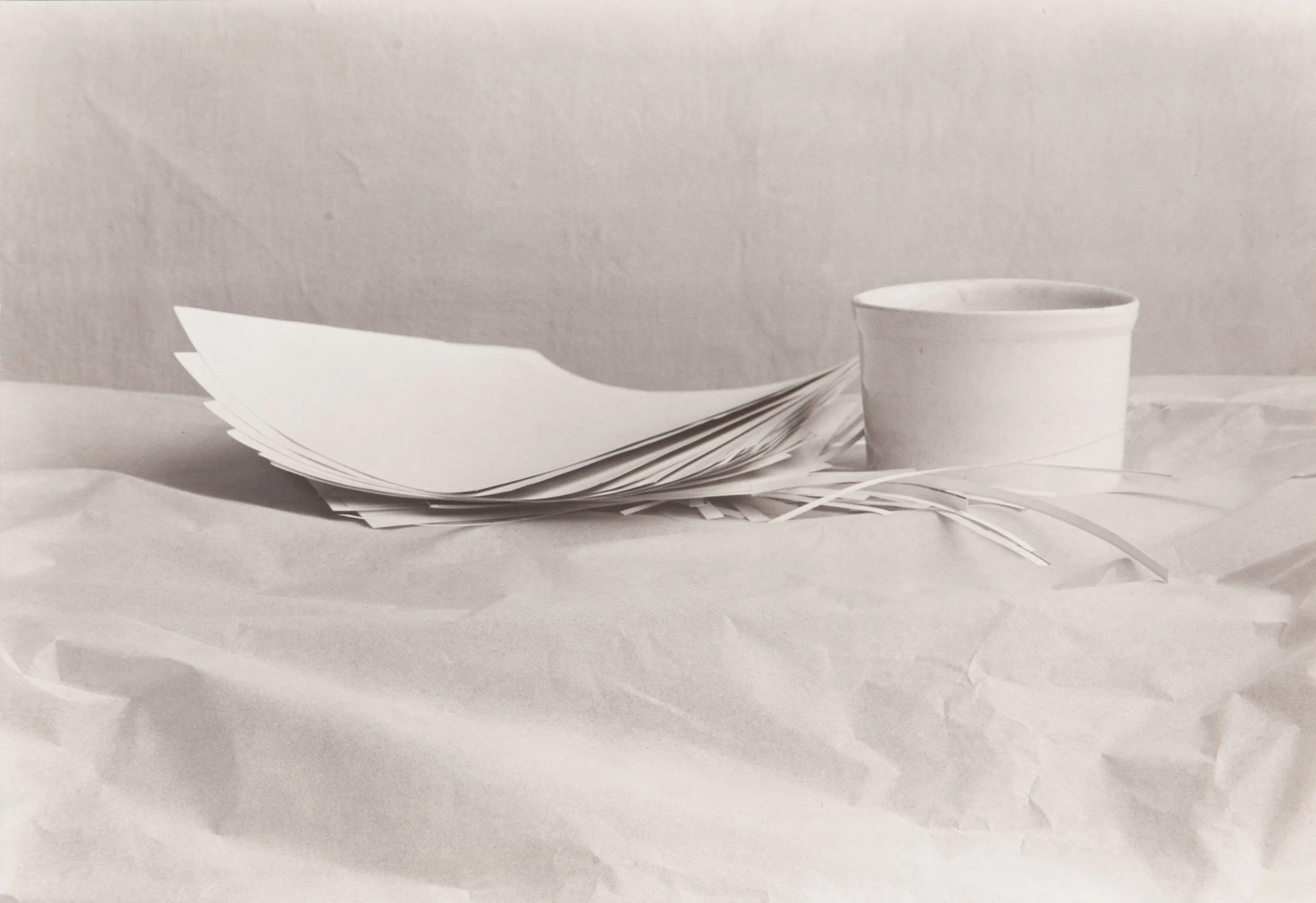 Svoboda_Zátiší s bílou miskou (Křídlo z cyklu hnízd).jpg