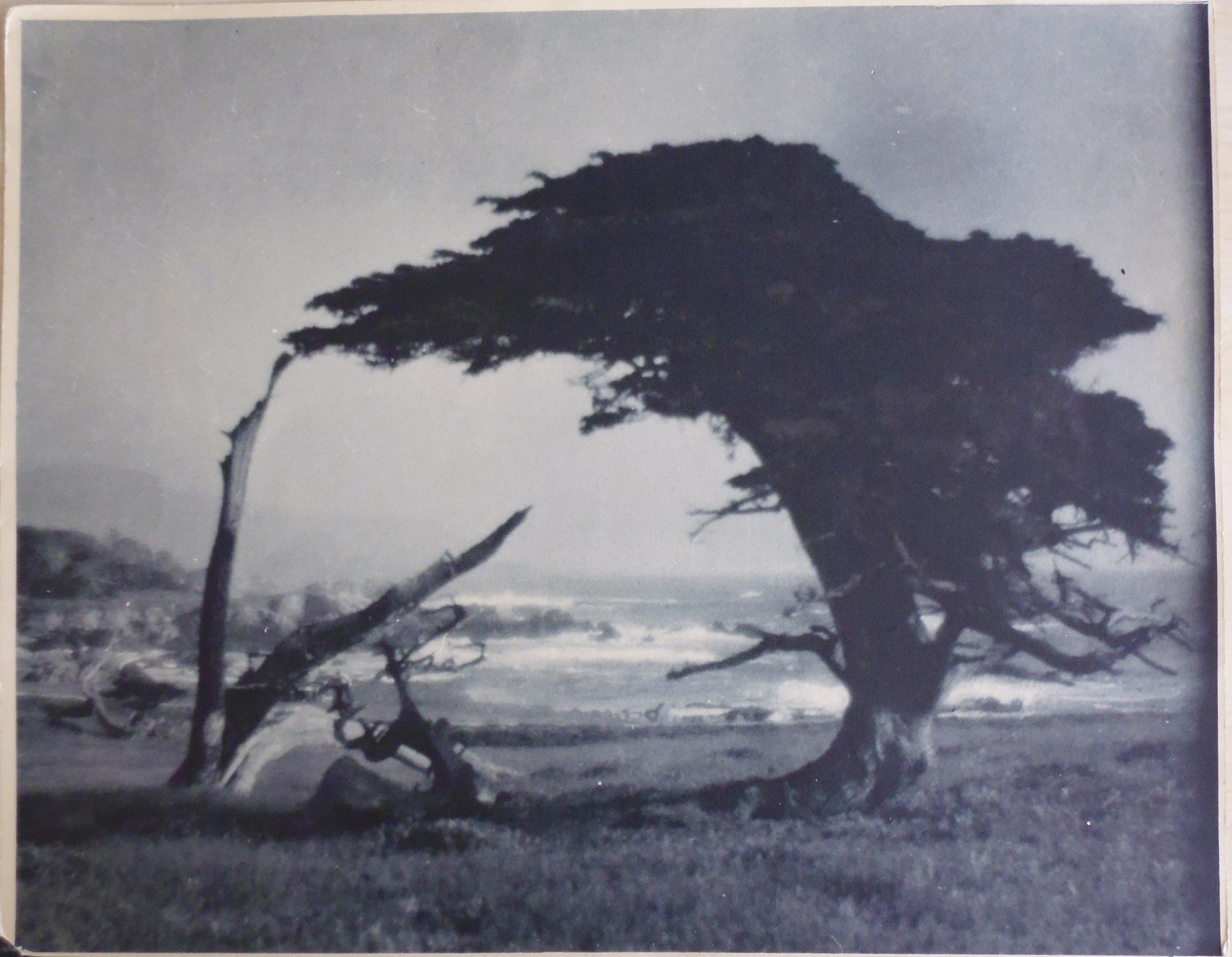 Růžička_Calif. Coast.JPG