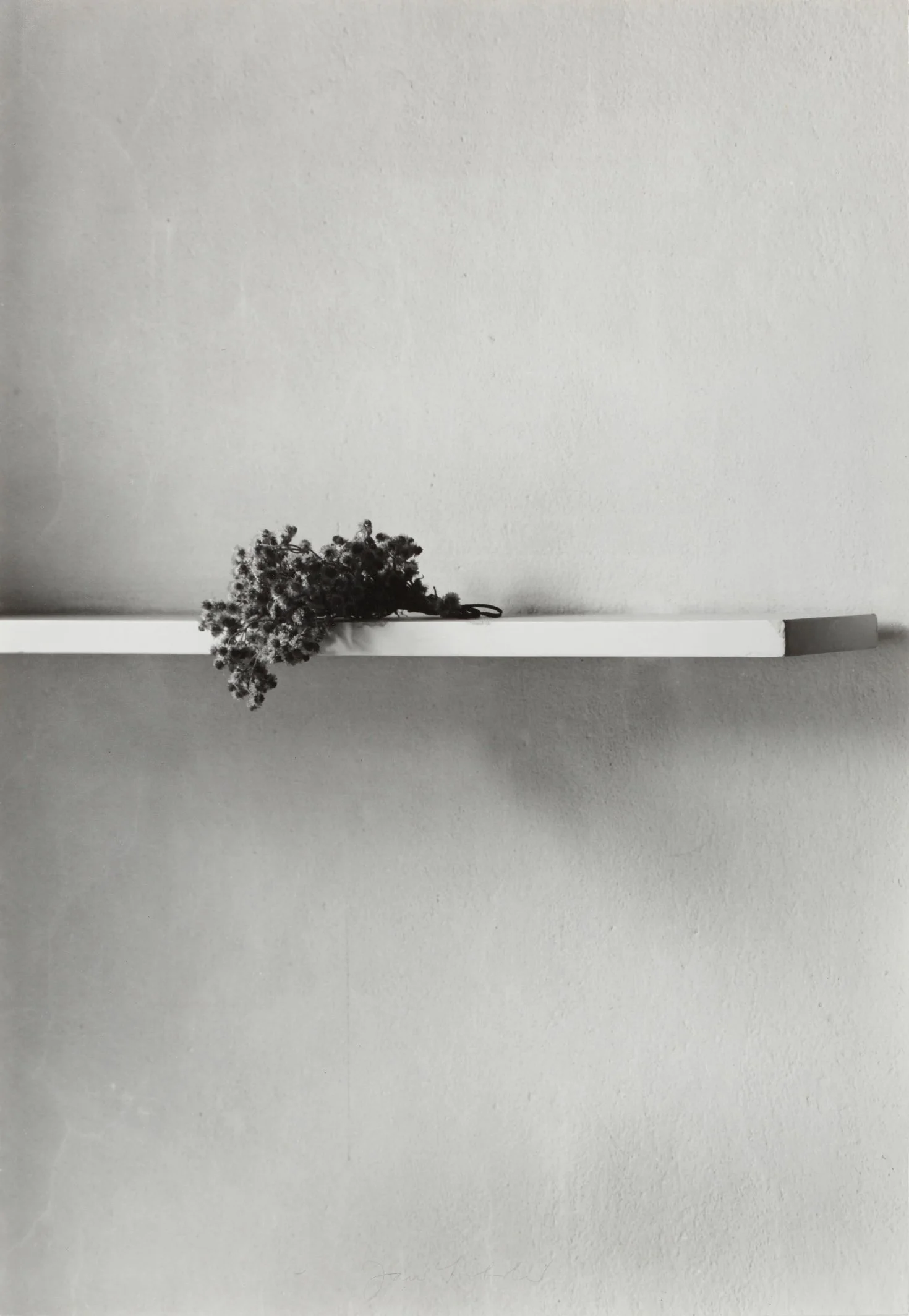 Svoboda_Předobraz IV (Regál).JPG