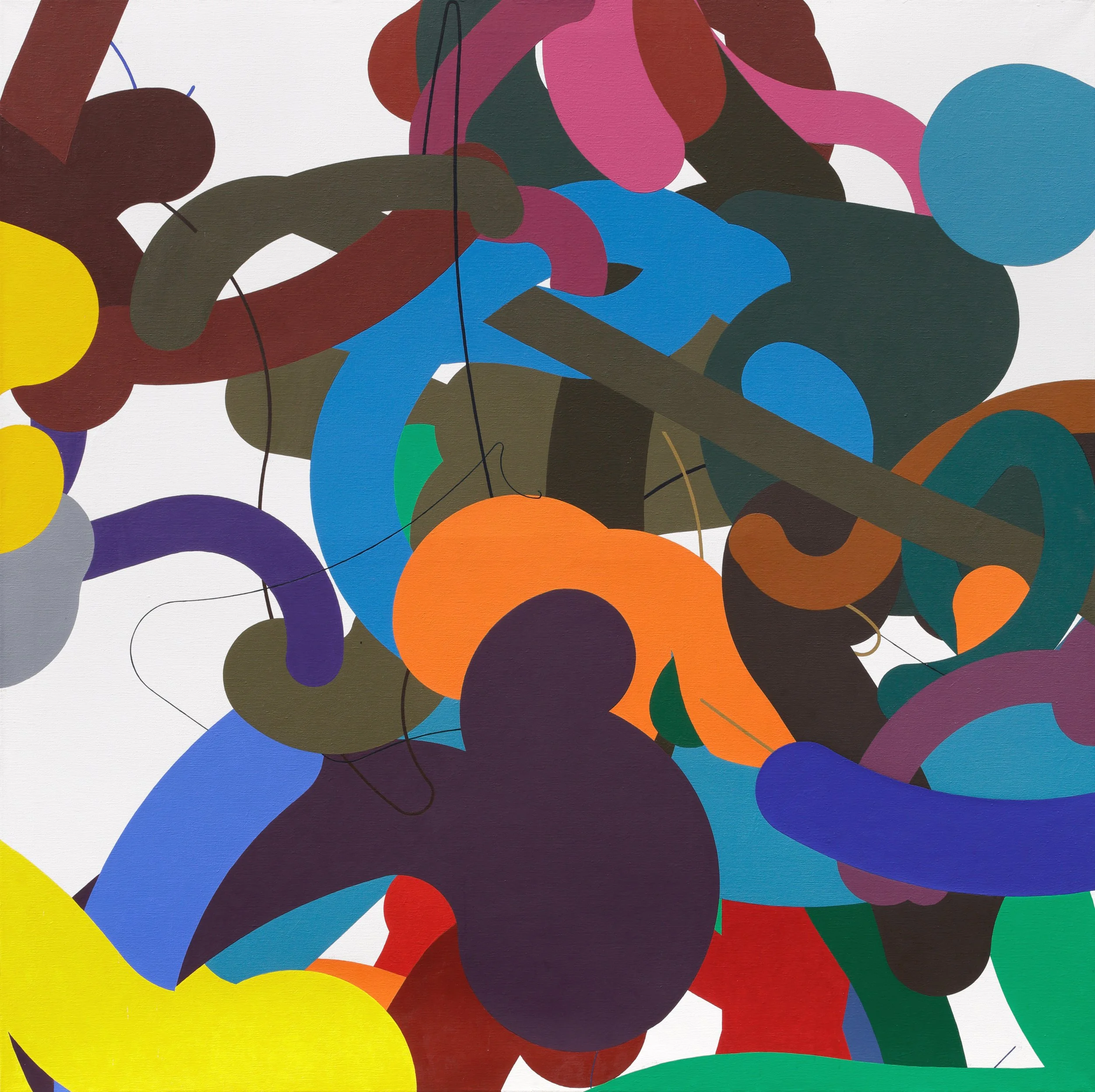 Sýkora_Linie č. 210.JPG