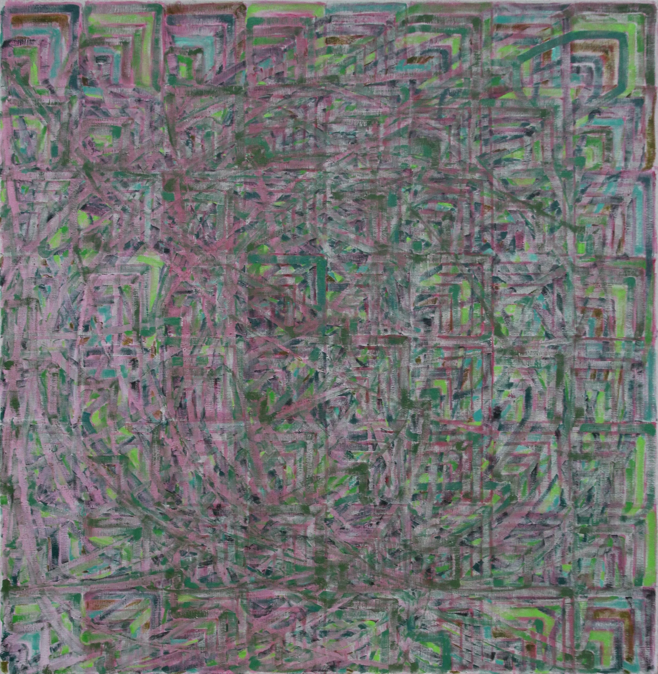 Kokolia_Pohled do koruny II.jpg