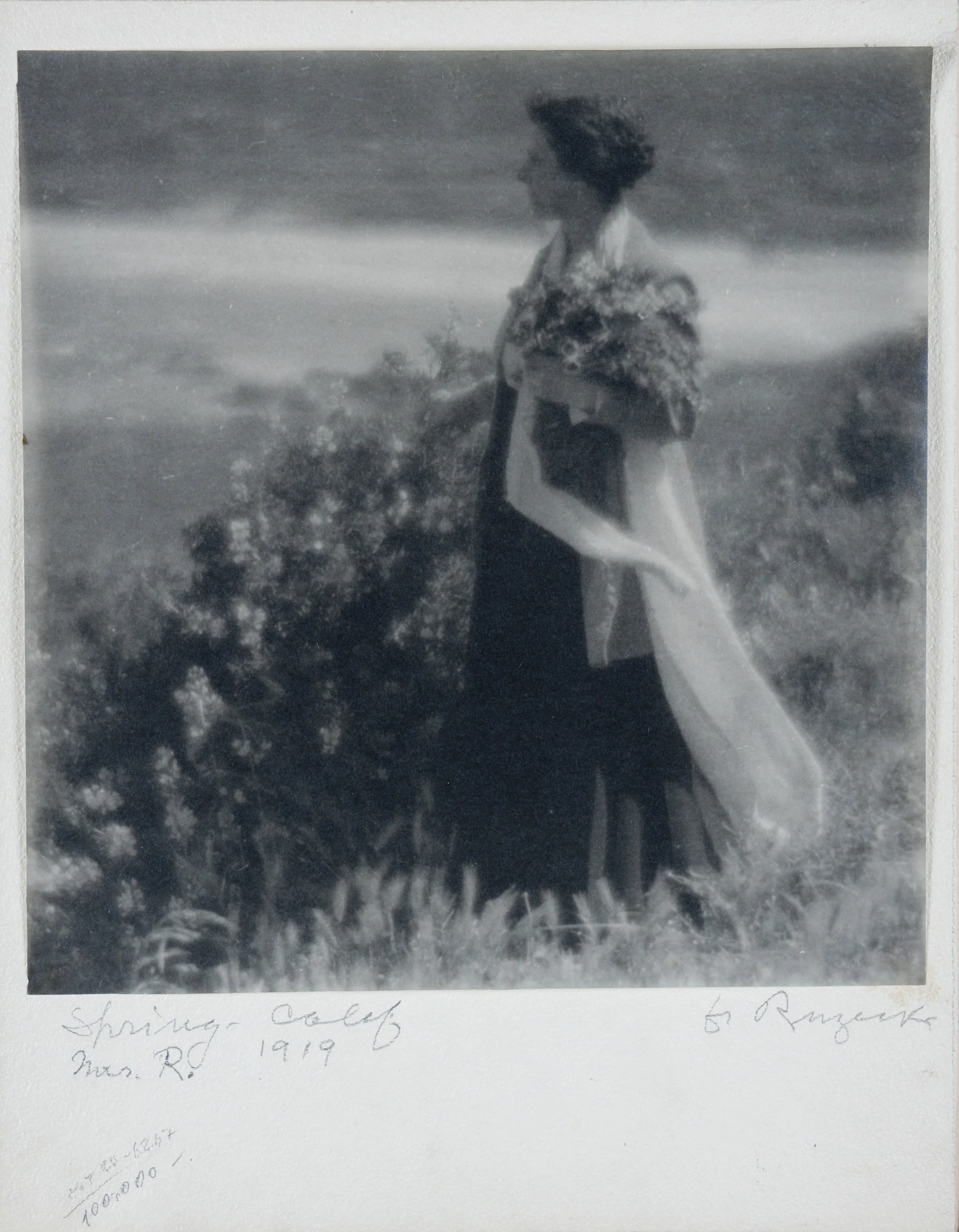 Růžička_Spring - Calif.JPG