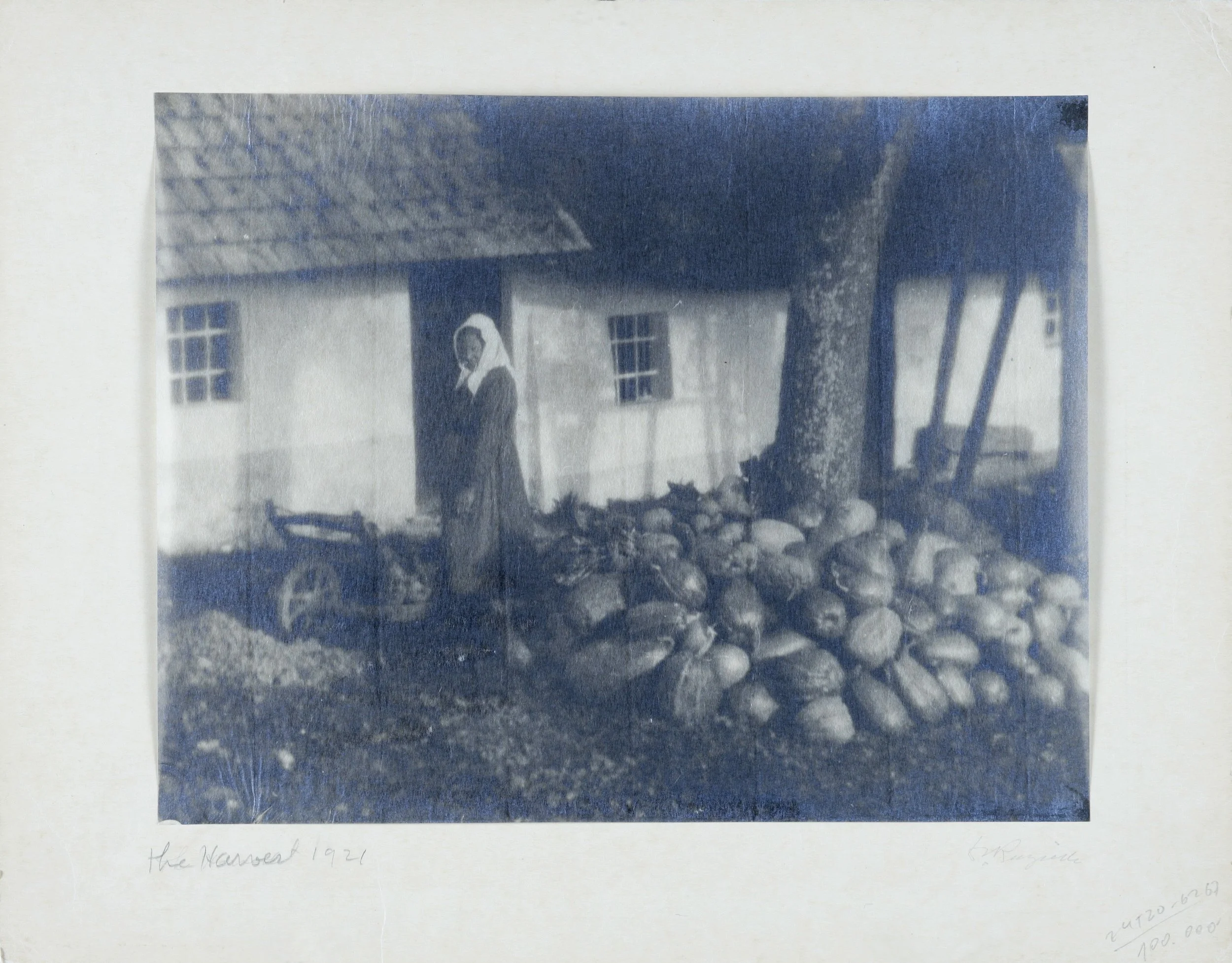 Růžička_The Harvest.JPG