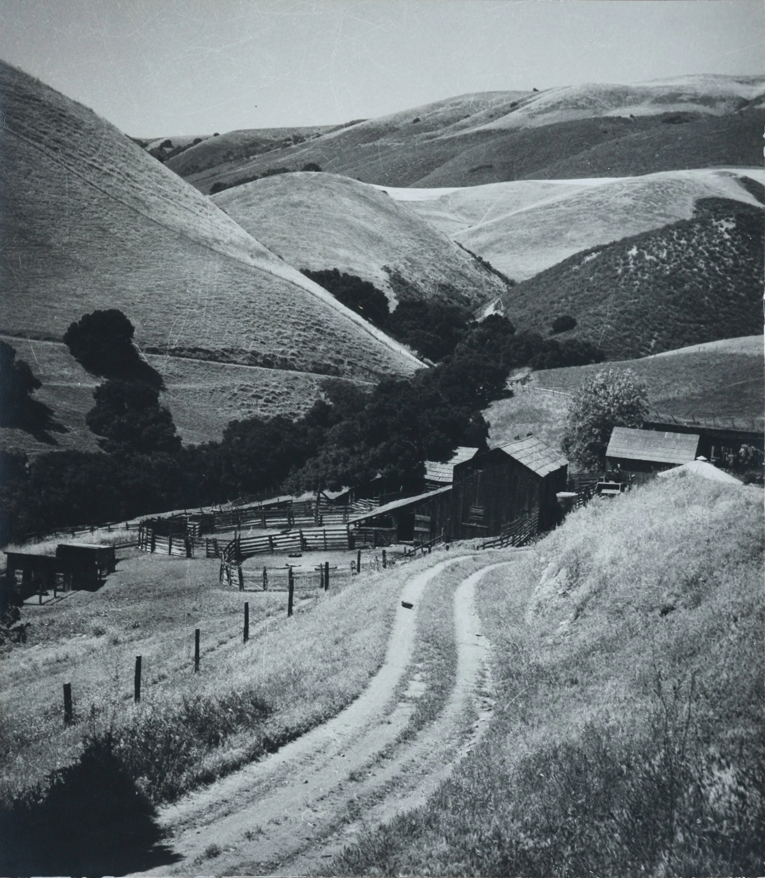 Růžička_A Calif. Landscape.JPG