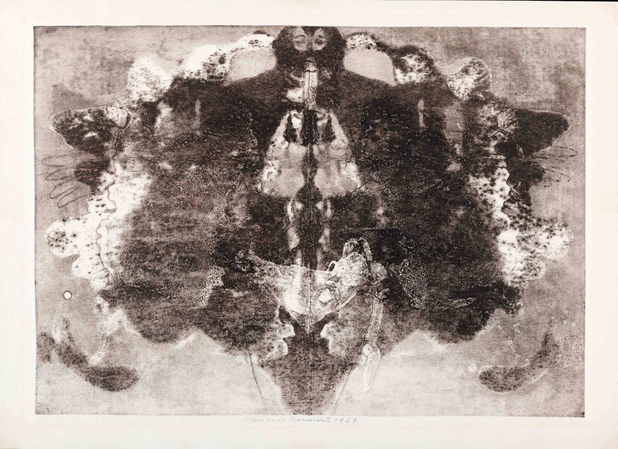 275A4475.jpg