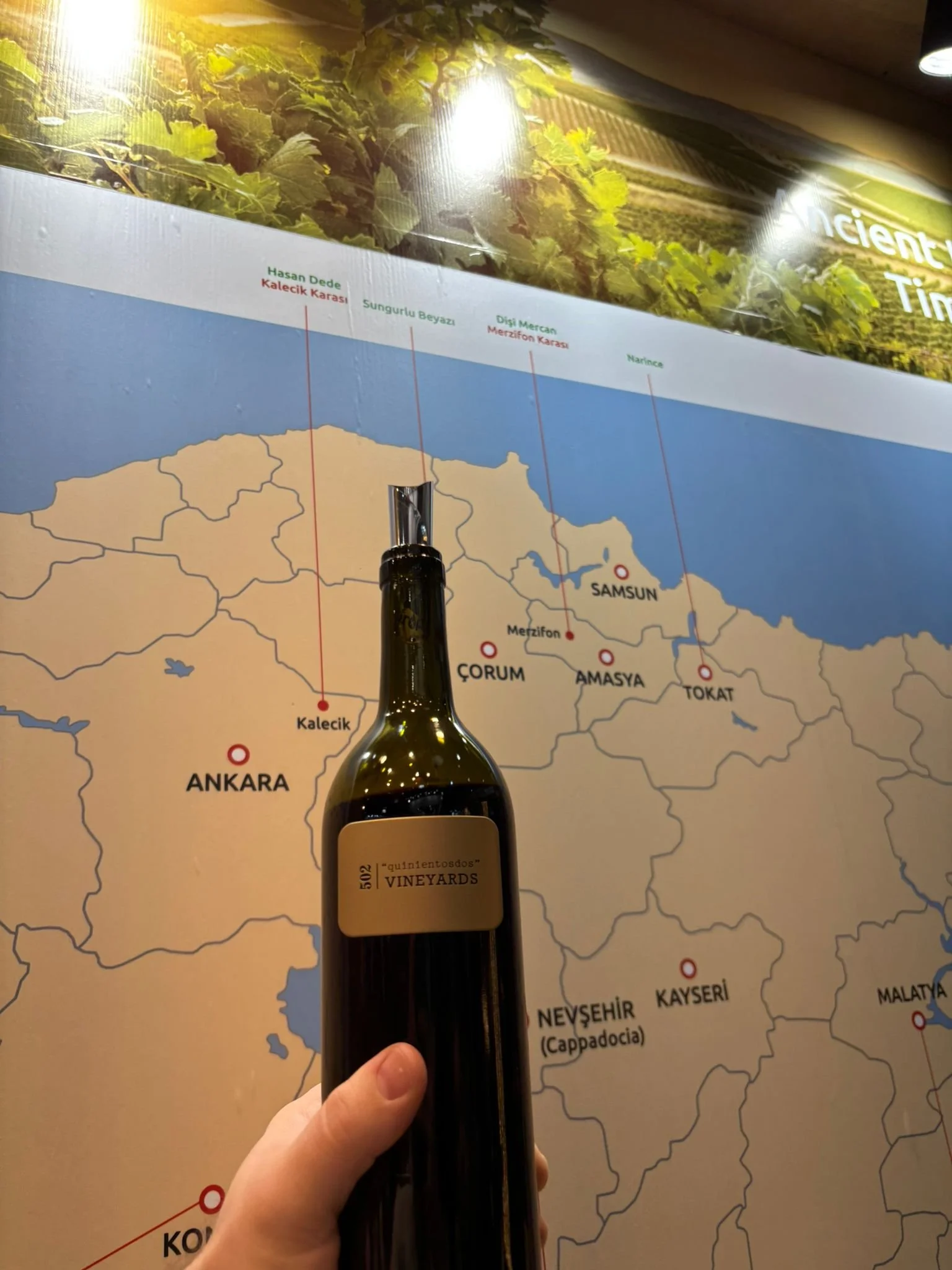 WhatsApp Image 2026-03-21 at 19.57.43 (1).jpeg