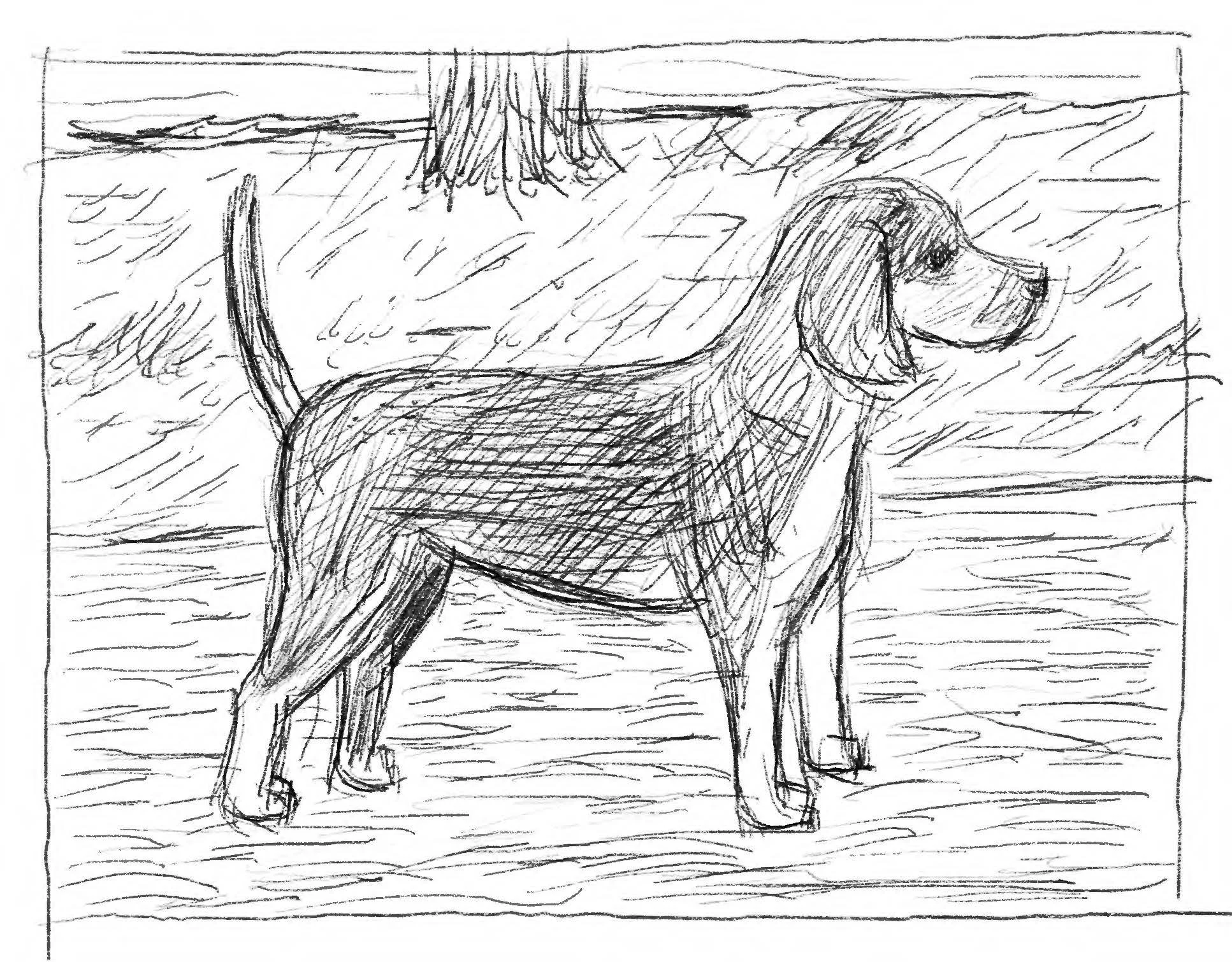 Untitled_Page_2.jpg