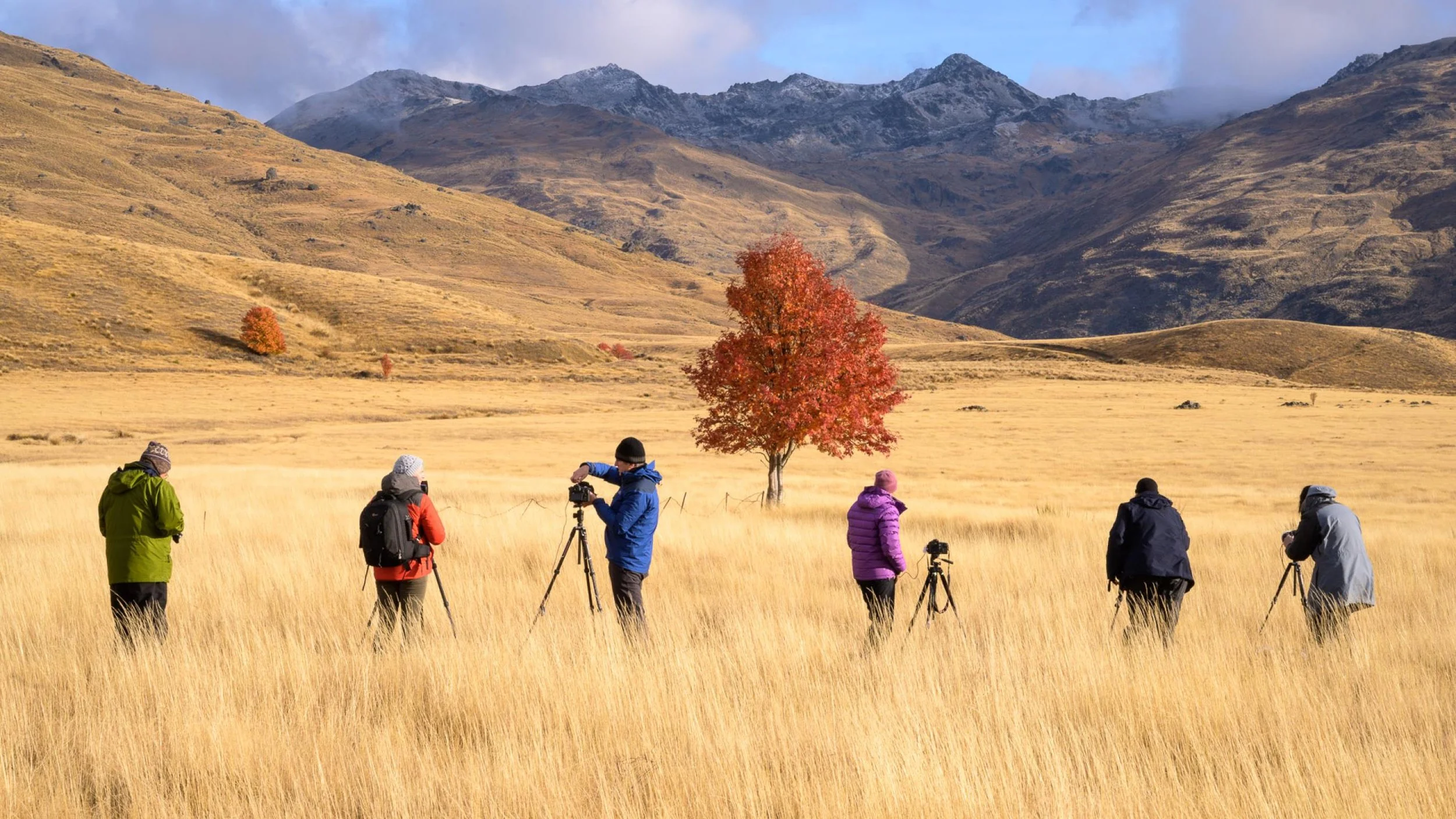 Photography Workshops in New Zealand: Capture a Landscape Like No Other