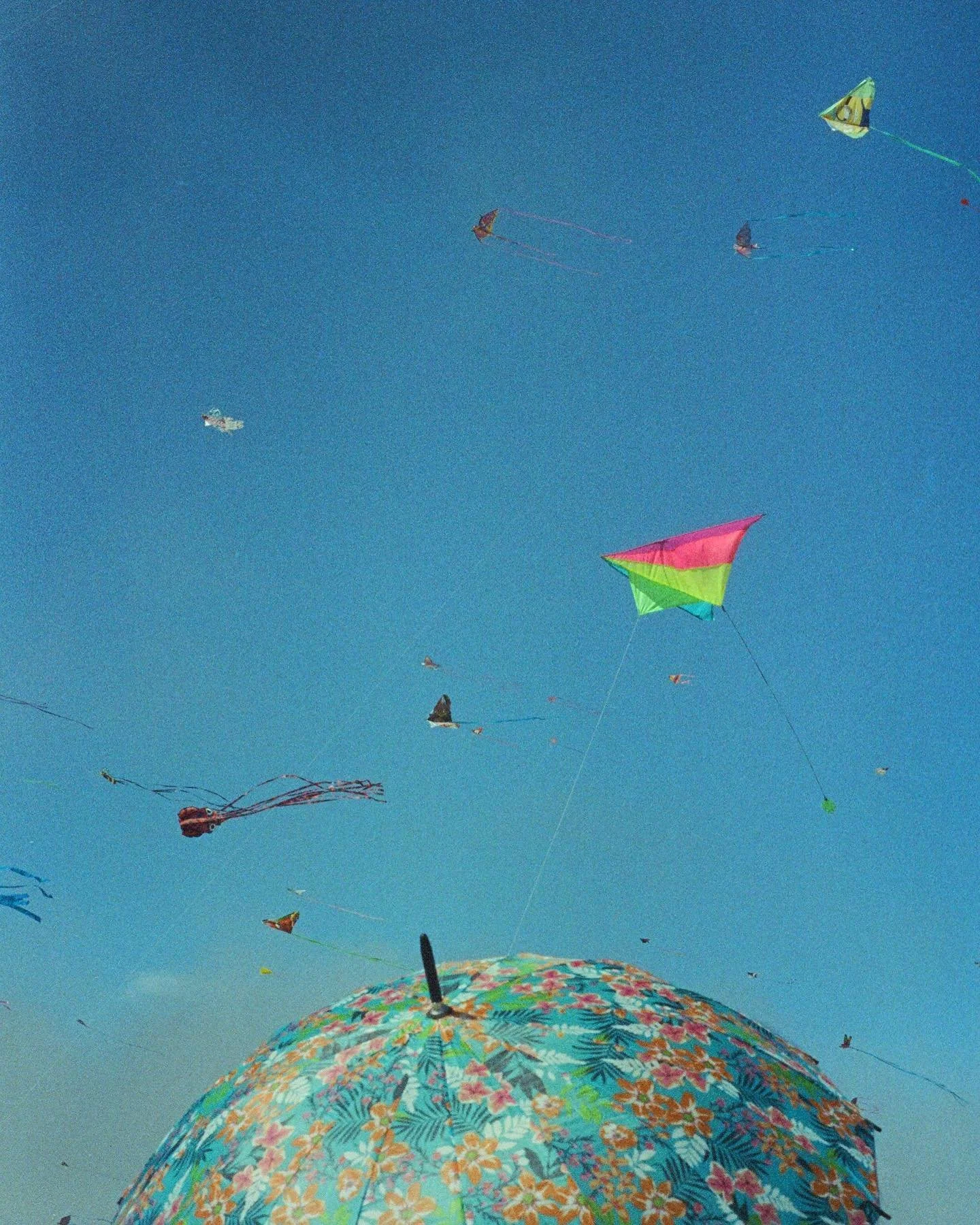 🪁

🎞: @cinestillfilm 800T
📸: Nikon FM 
🧪: @key_color_fotolab