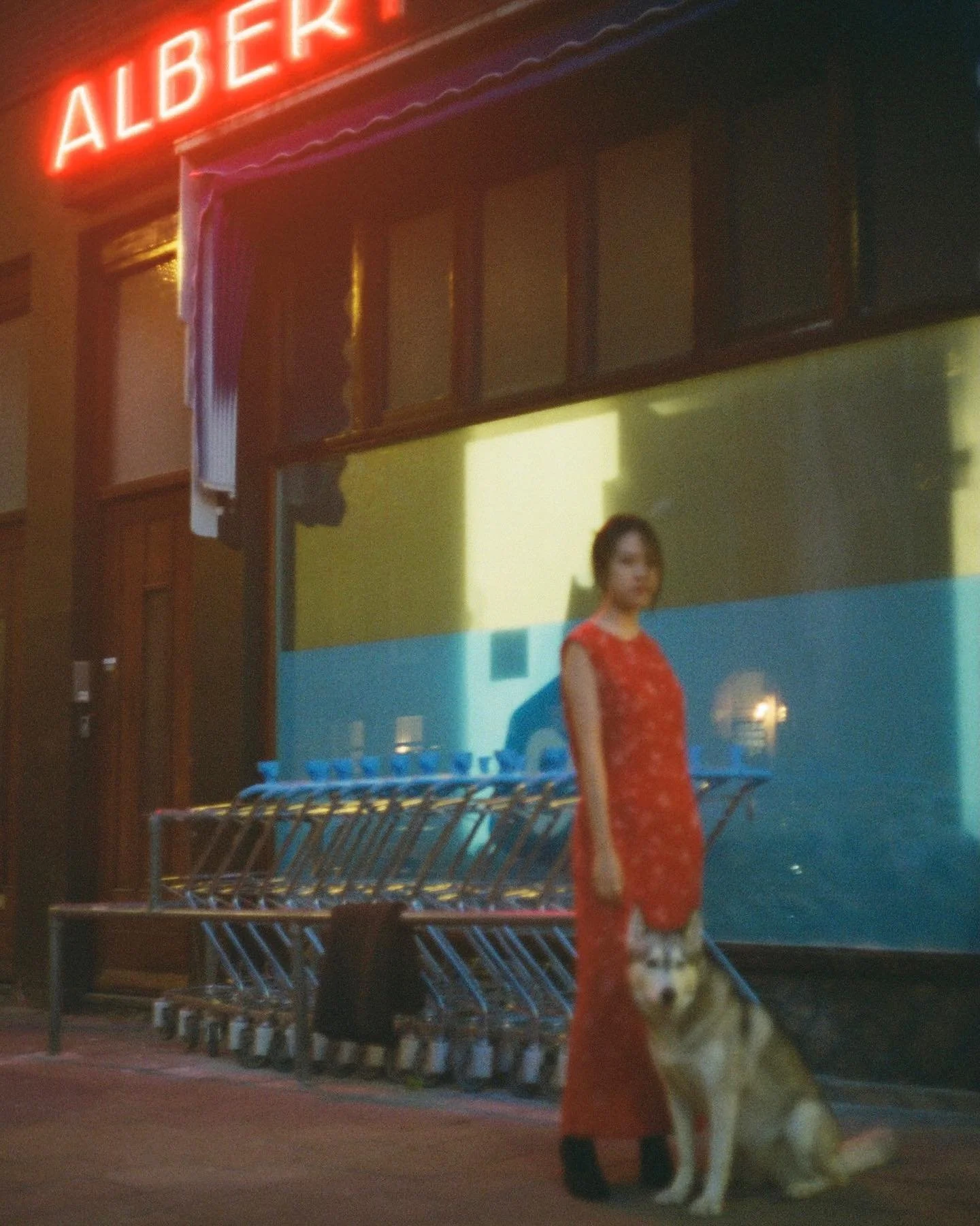 swipe for the uncropped photo (it&rsquo;s much better!)

✨: starring @i_am_bellala (and the majestic dog that just happened to be there!) 

🎞: @cinestillfilm 800T
📸: Canonet QL17 G-III
🧪: @key_color_fotolab