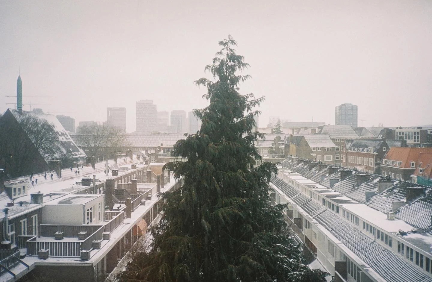 let it snow ⛄️ 

⁣
🎞 expired @kodak ultra 400⁣⁣⁣
🧪 developed &amp; scanned by @fotolabkiekie