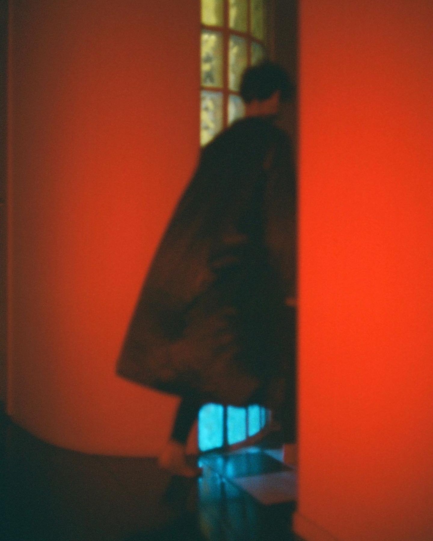 ✨: starring @nonomovitz 
🎞: @lomography 800 color negative 
📸: Canonet QL17 G-III
🧪: @key_color_fotolab