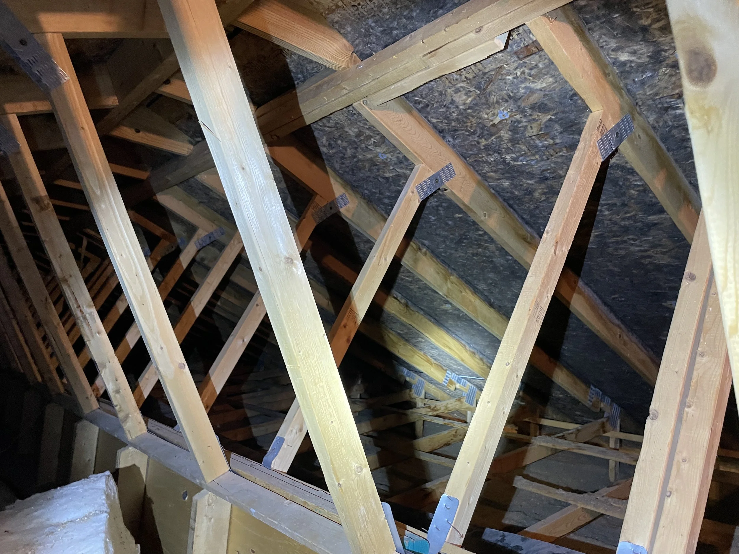 Break The Mold: The Ultimate Guide to Controlling Attic Heat &amp; Moisture