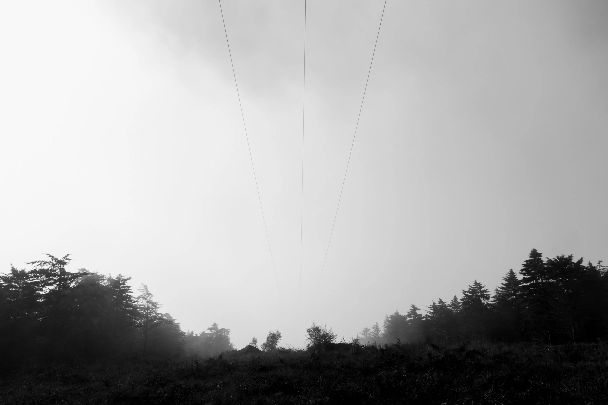 Diário Visual Fine Art sobre a névoa matinal. Uma exploração visual do silêncio e da luz difusa, onde a natureza se revela e se esconde num jogo subtil de presenças e ausências.