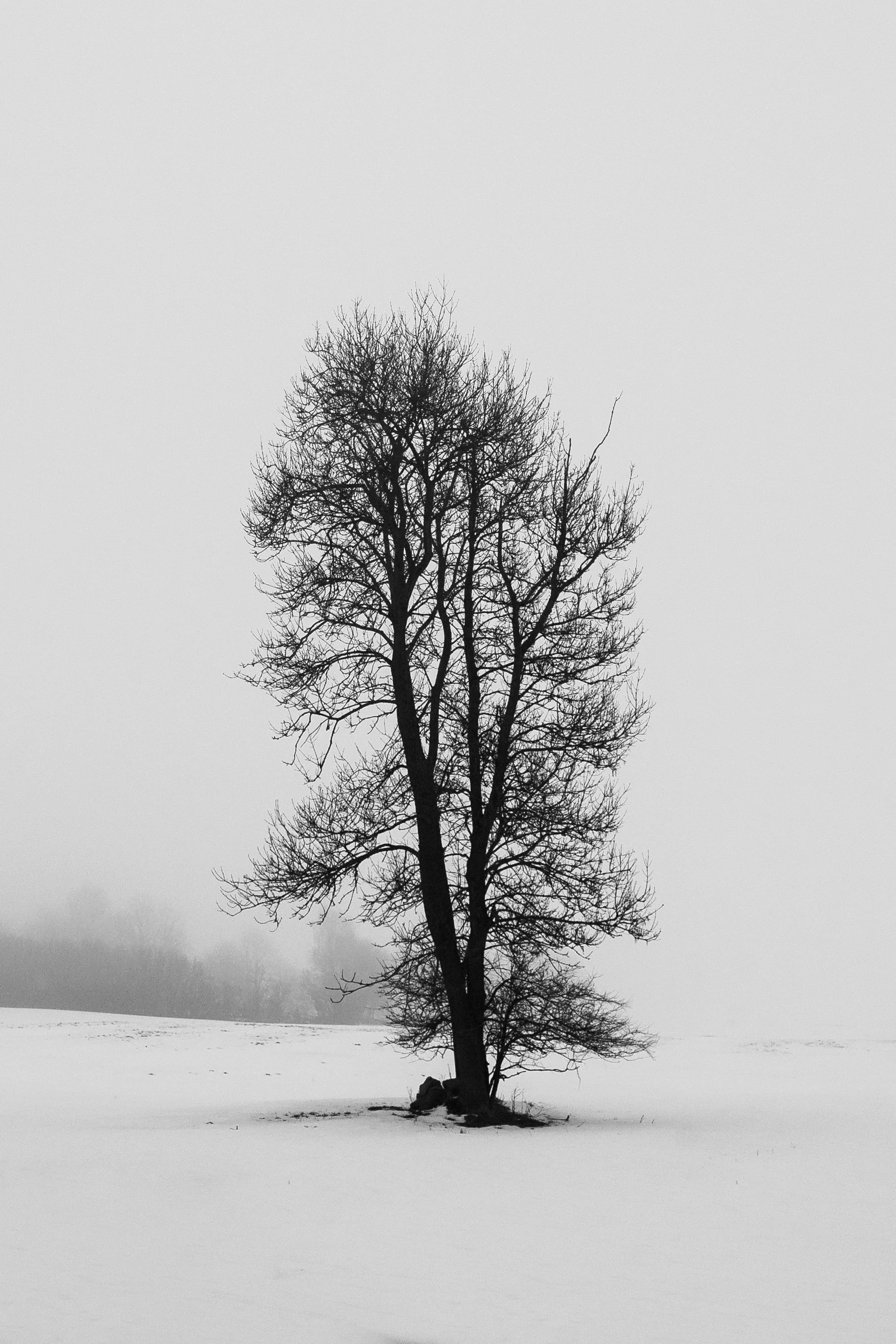 Diário visual documentando uma jornada familiar significativa pela Chéquia.