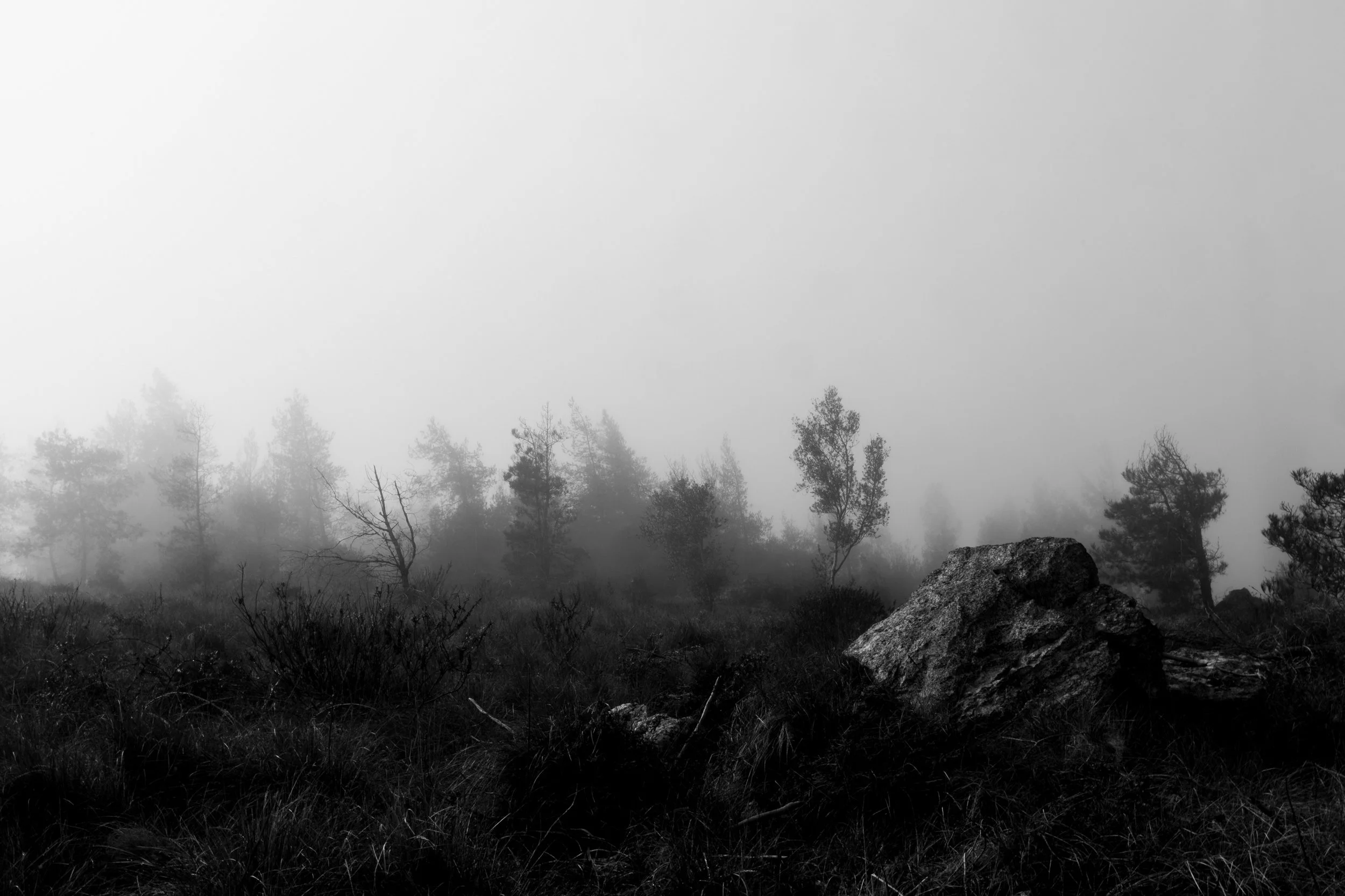 Diário Visual Fine Art sobre a névoa matinal. Uma exploração visual do silêncio e da luz difusa, onde a natureza se revela e se esconde num jogo subtil de presenças e ausências.