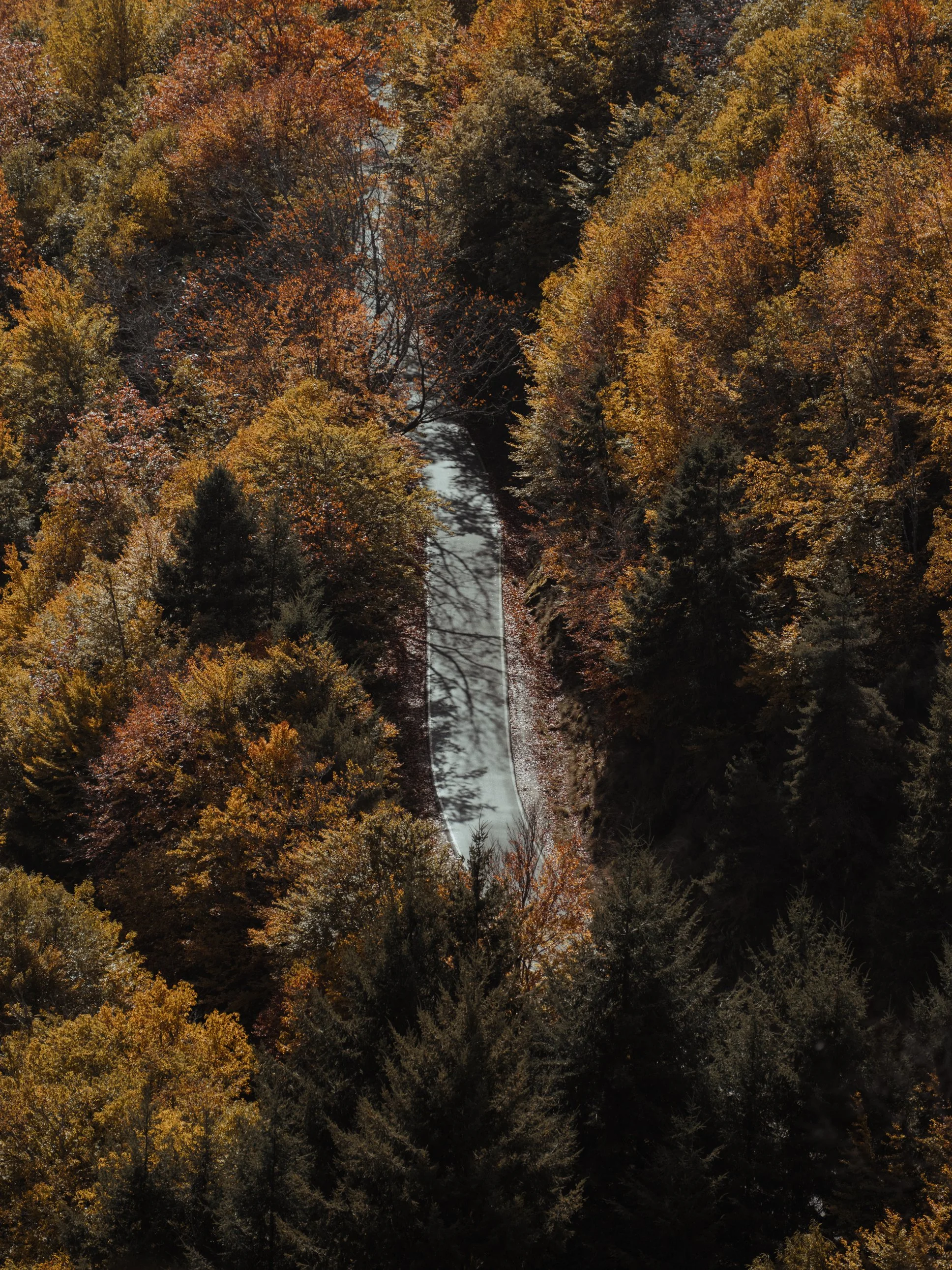 Diário visual documentando a essência primitiva da Serra da Estrela. Uma narrativa fotográfica que persegue a luz natural em sua forma mais crua, capturando momentos de tensão entre luz e sombra, desejo e poder na paisagem montanhosa.