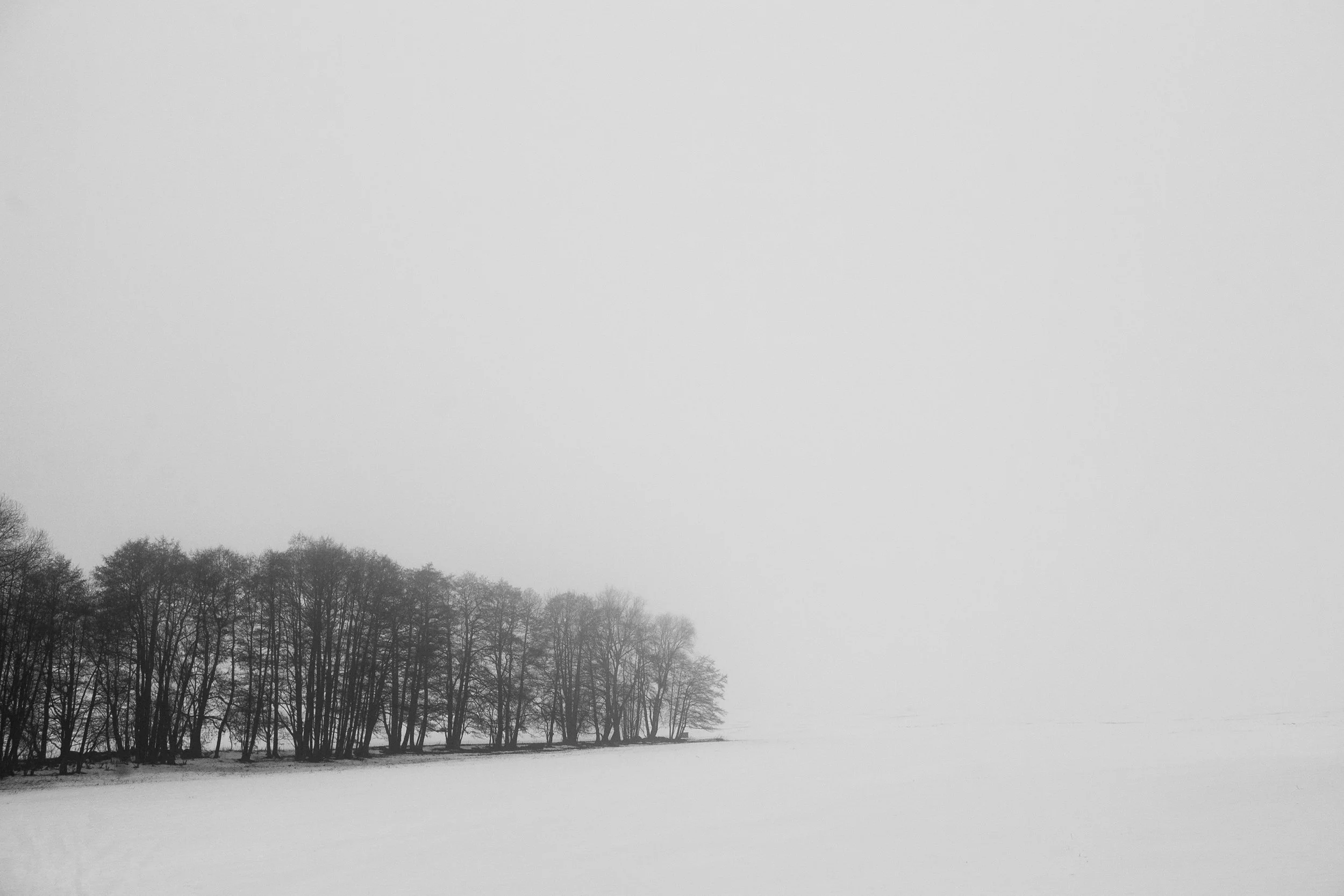 Diário visual documentando uma jornada familiar significativa pela Chéquia.