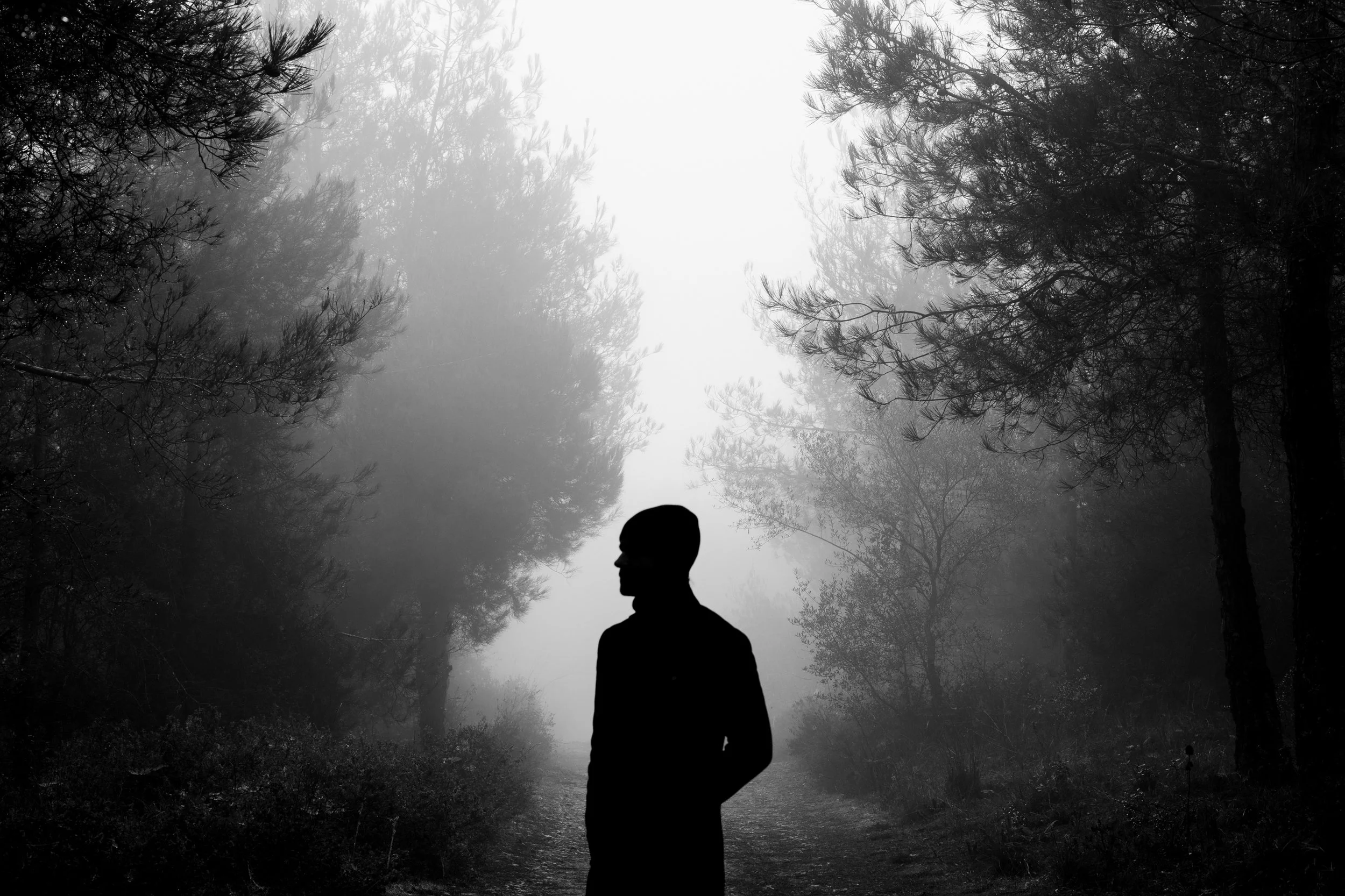 Silhueta de uma pessoa em pé em uma trilha arborizada, cercada por neblina, em uma cena monocromática.