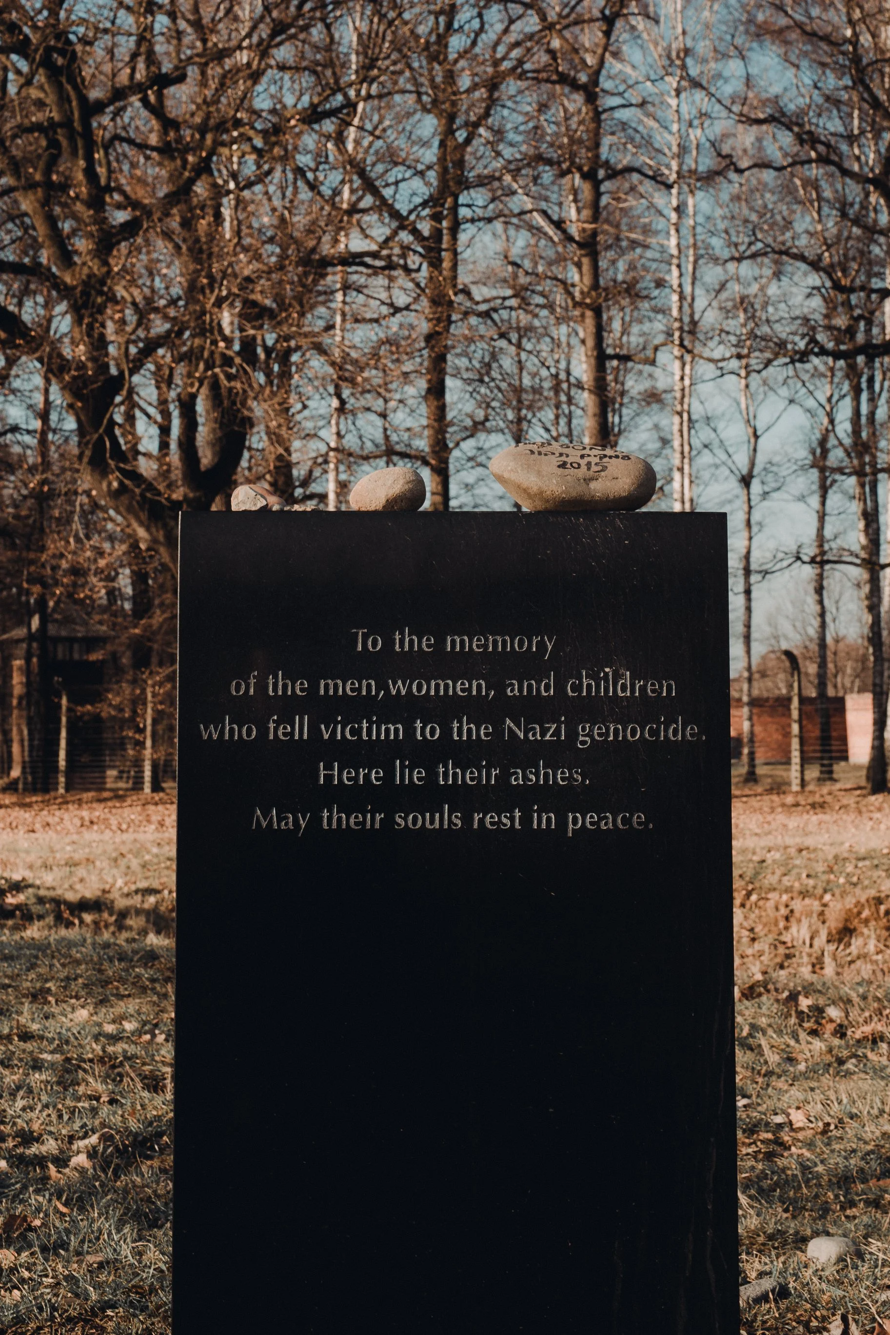 Placa memorial com pedras em cima, cercada por árvores, com inscrição em inglês em memória das vítimas do genocídio nazista.