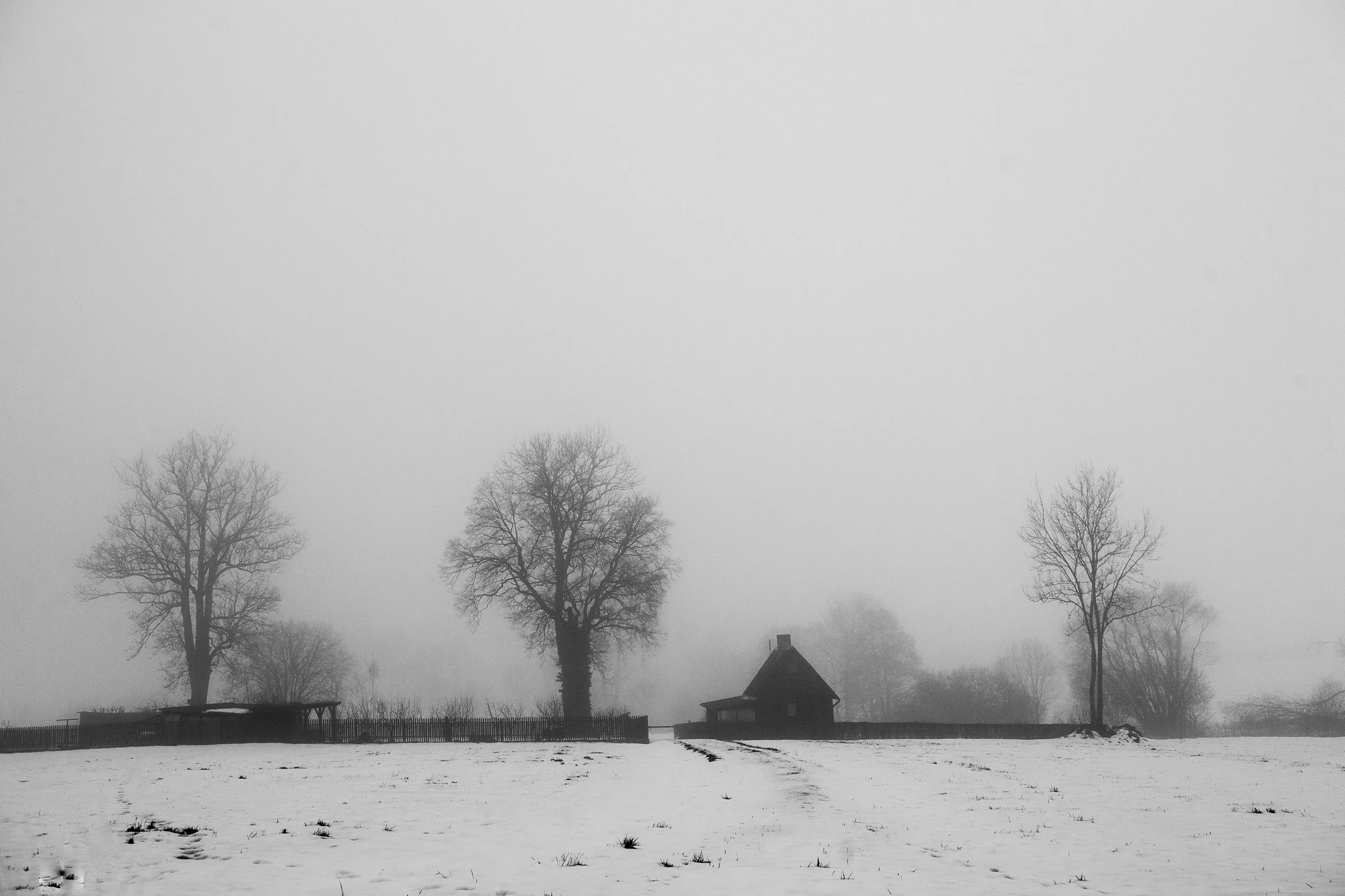 Paisagem invernal com neve cobrindo o solo, árvores nuas e uma casa ao fundo em um dia nublado e com neblina.
