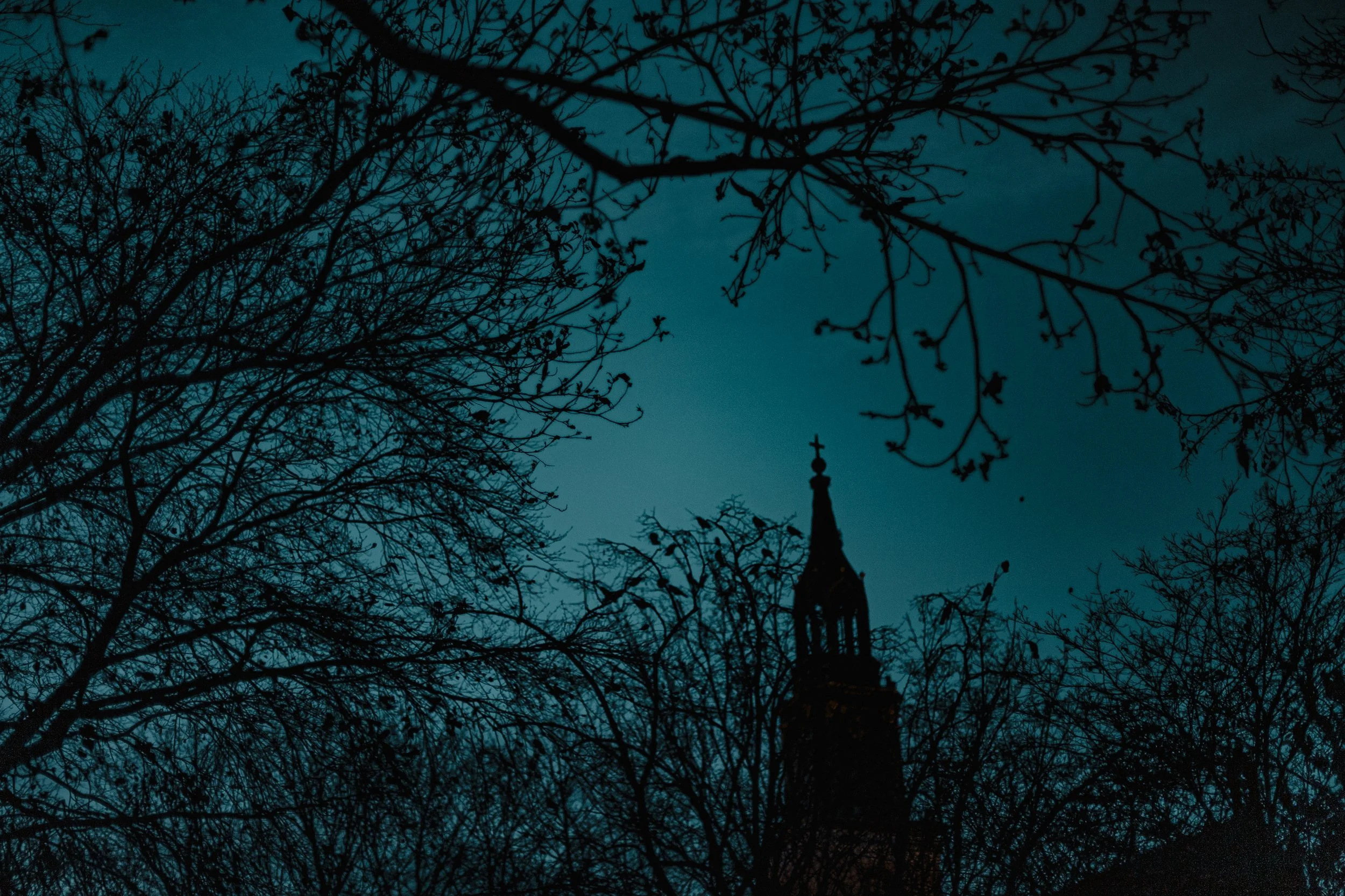 Silhuetas de galhos de árvores e a torre de uma igreja contra um céu noturno azul escuro.