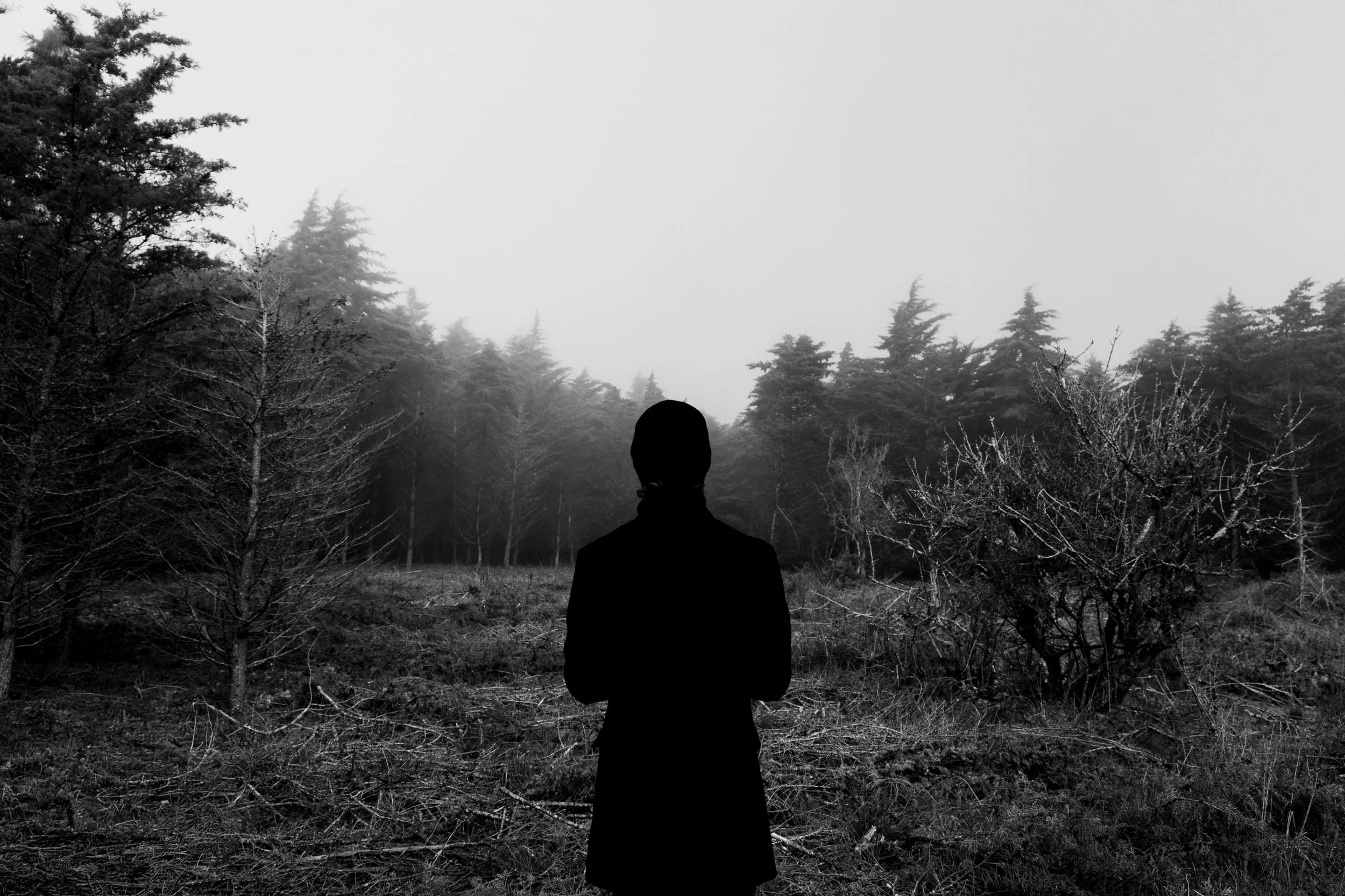 Diário Visual Fine Art sobre a névoa matinal. Uma exploração visual do silêncio e da luz difusa, onde a natureza se revela e se esconde num jogo subtil de presenças e ausências.