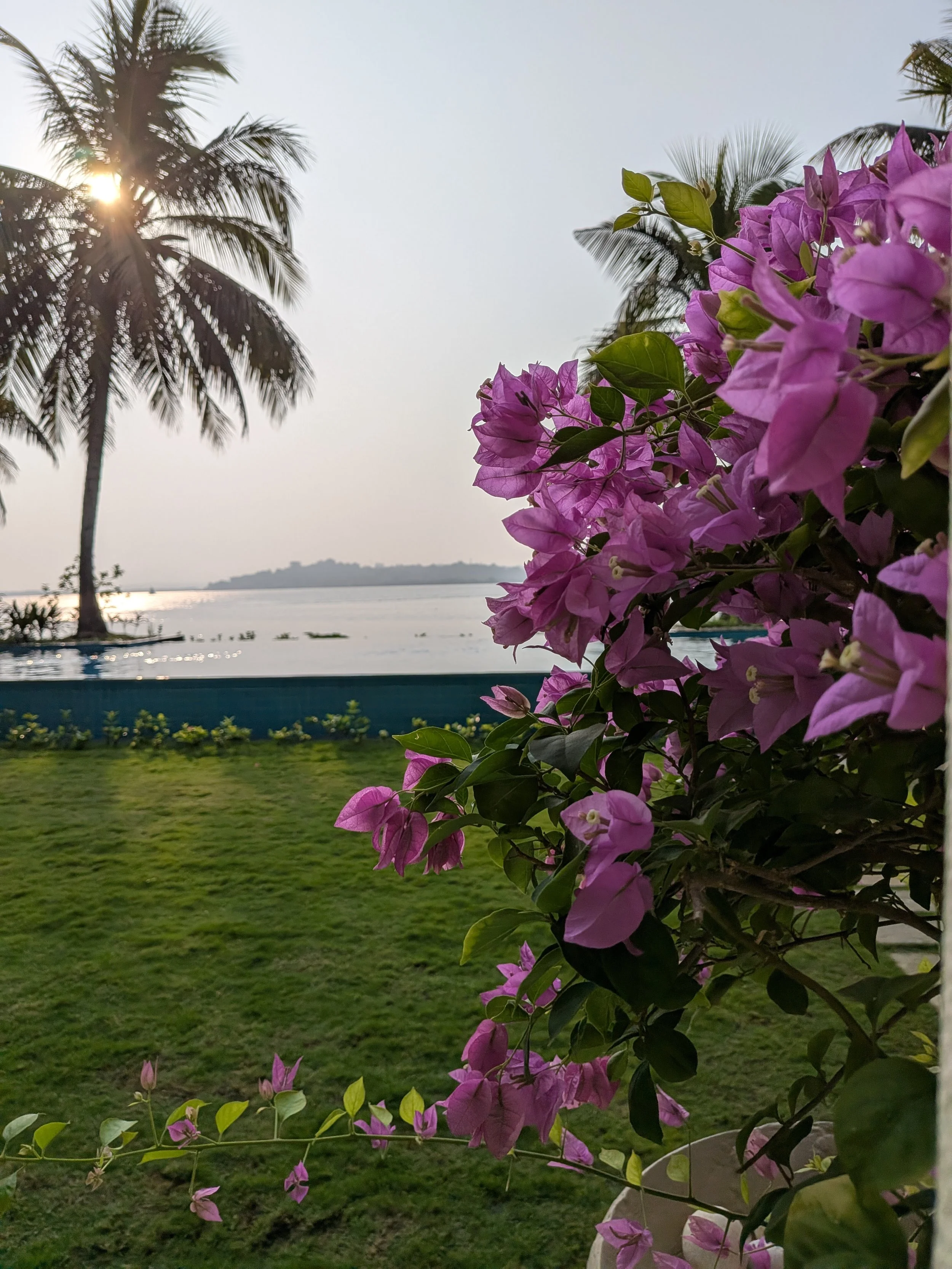 Postcard on the Mandovi River