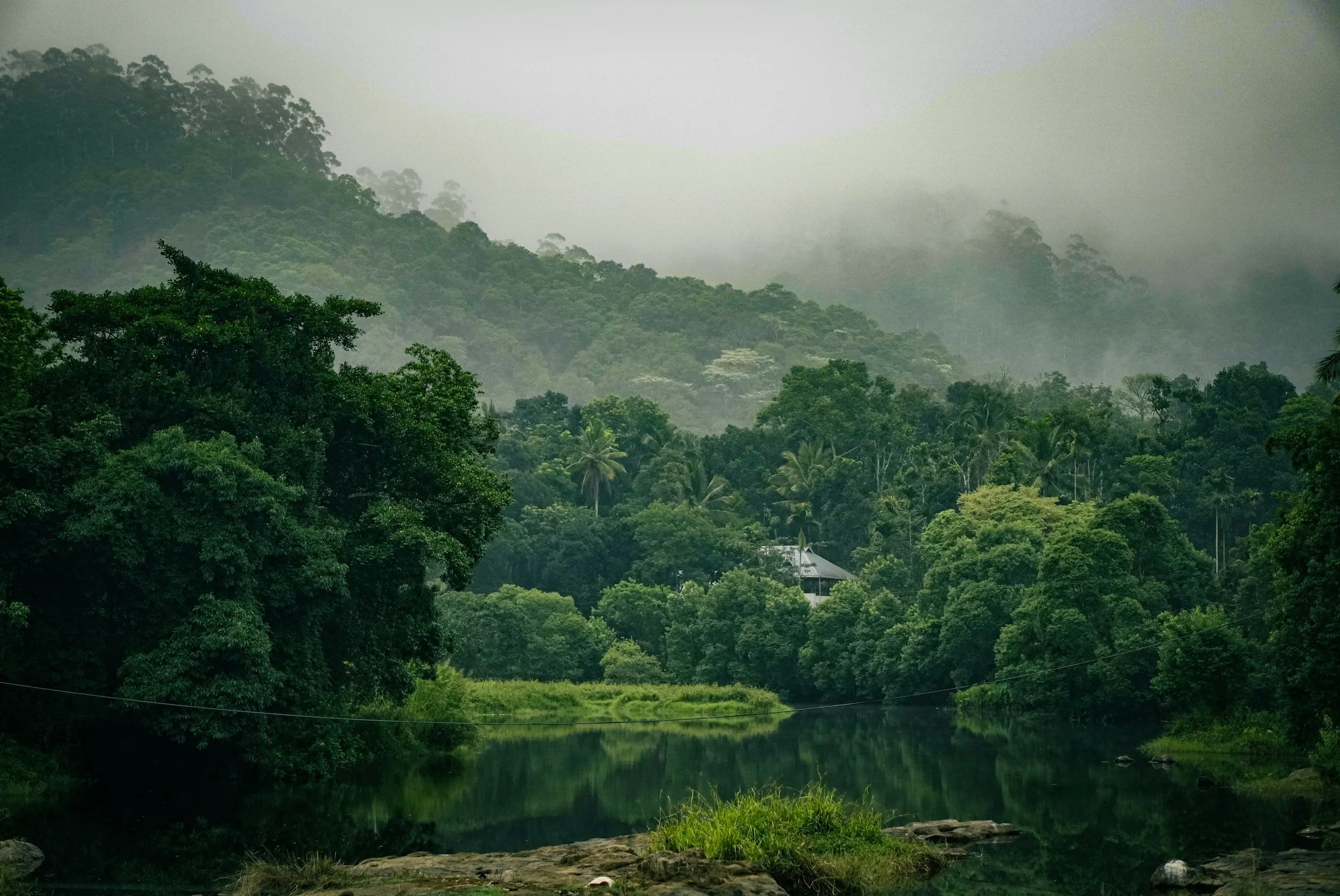 Kochi Soul &amp; Backwater Stillness
