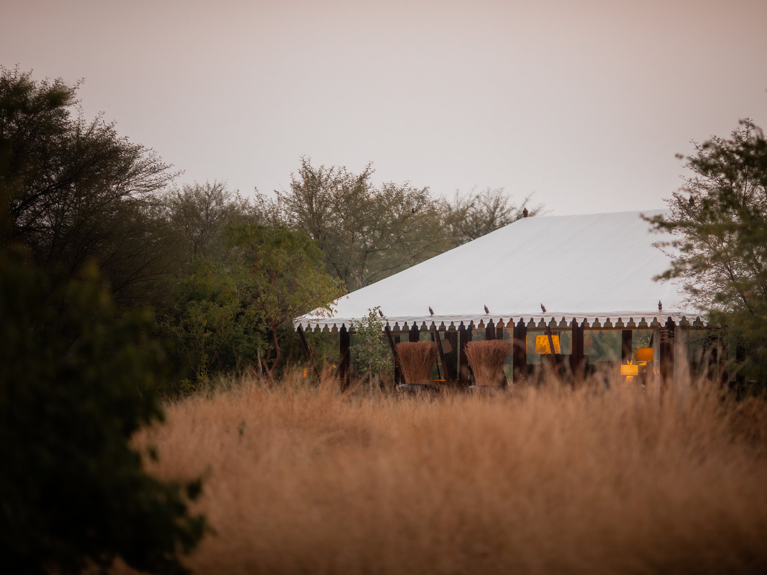 The Blackbuck Lodge