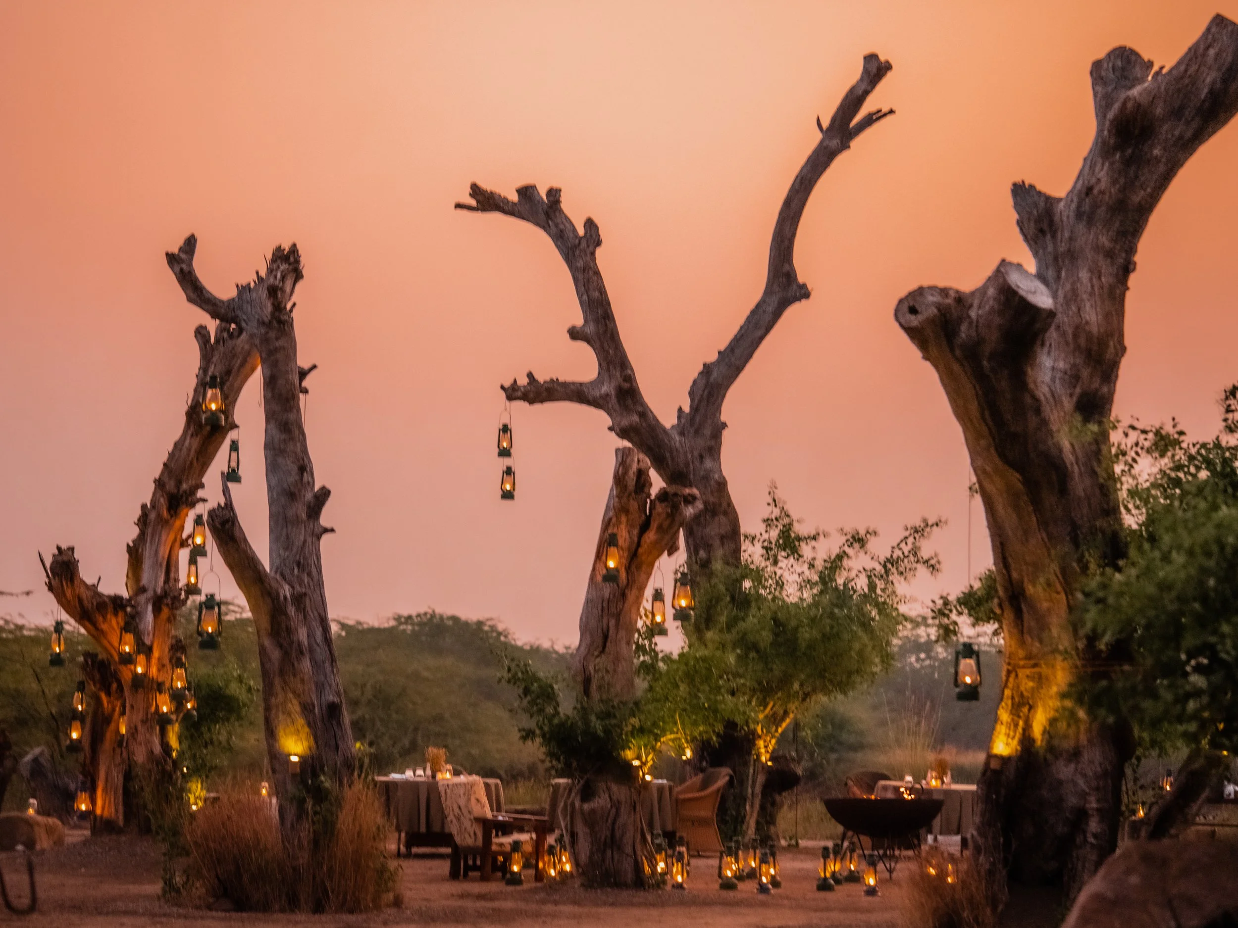 The Blackbuck Lodge