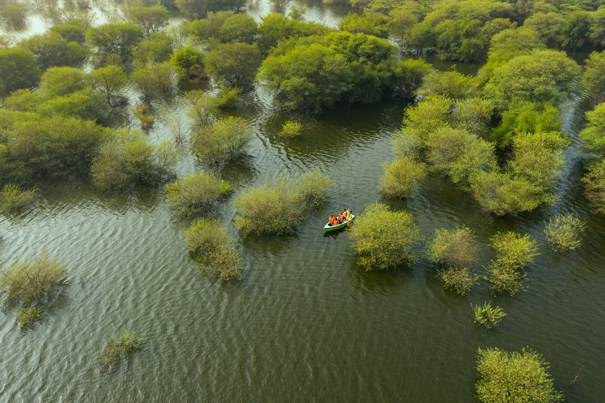 RAAS Chhatrasagar