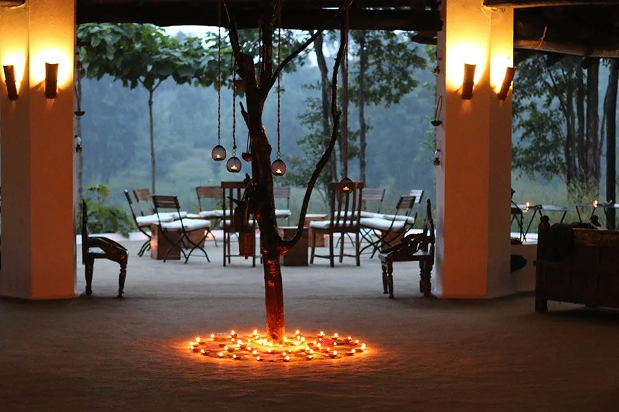 Flame of the Forest Safari Lodge