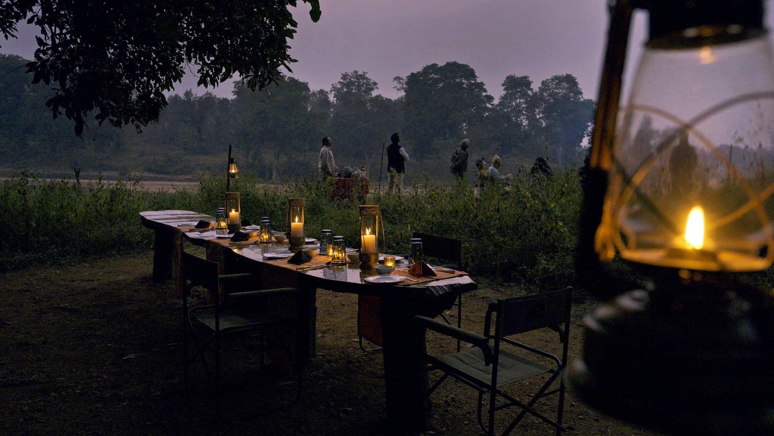 Flame of the Forest Safari Lodge