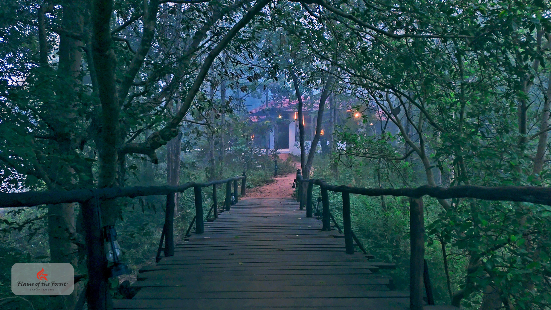 Flame of the Forest Safari Lodge
