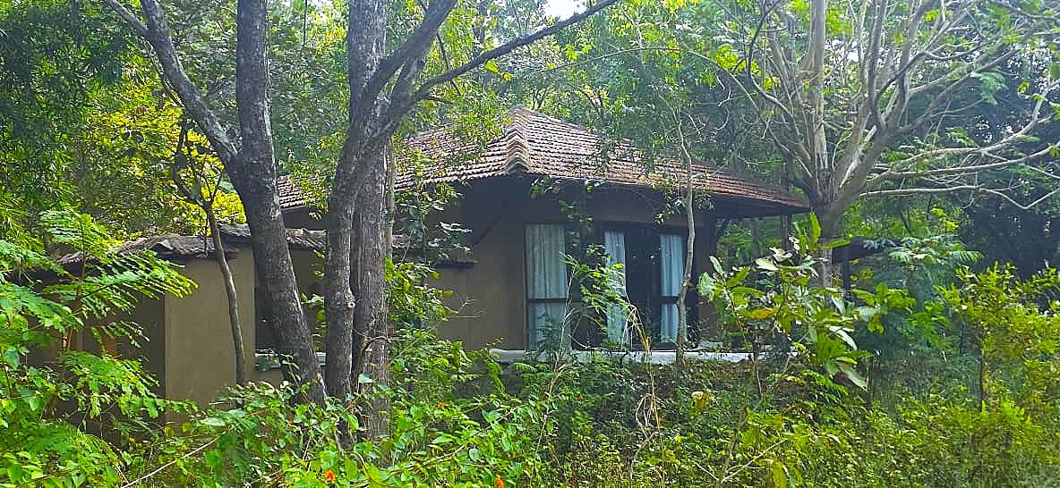 Flame of the Forest Safari Lodge