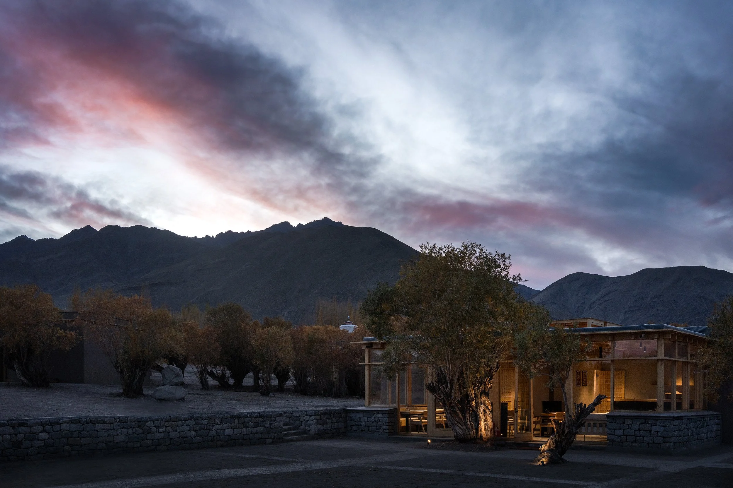 The Postcard in the Himalayan Willows
