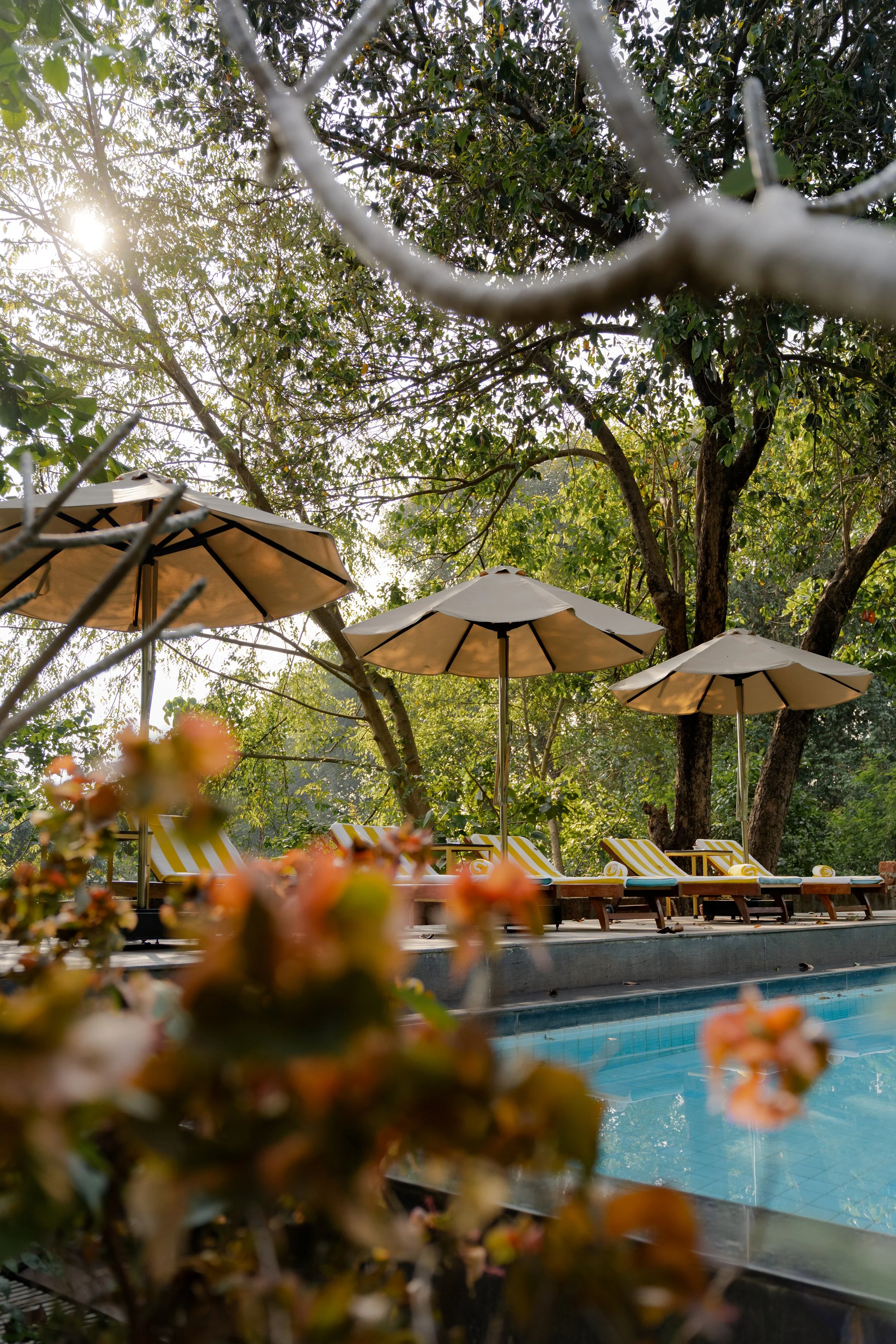 Wellness retreat near Panjim The Postcard Ayurveda Retreat, A Sitaram Ayurveda Experience.jpg