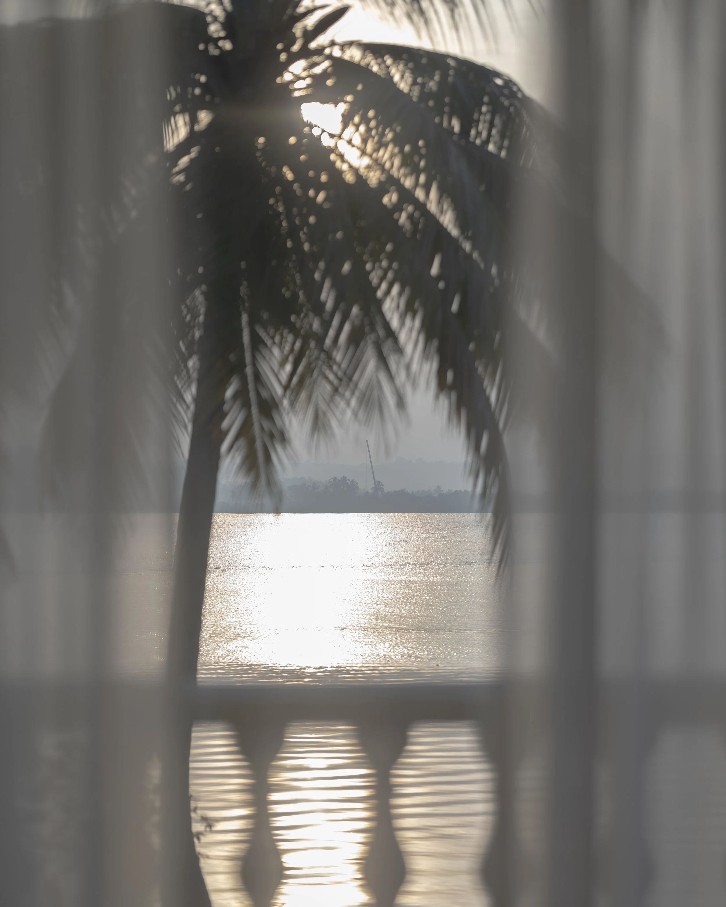 Postcard on The Mandovi River
