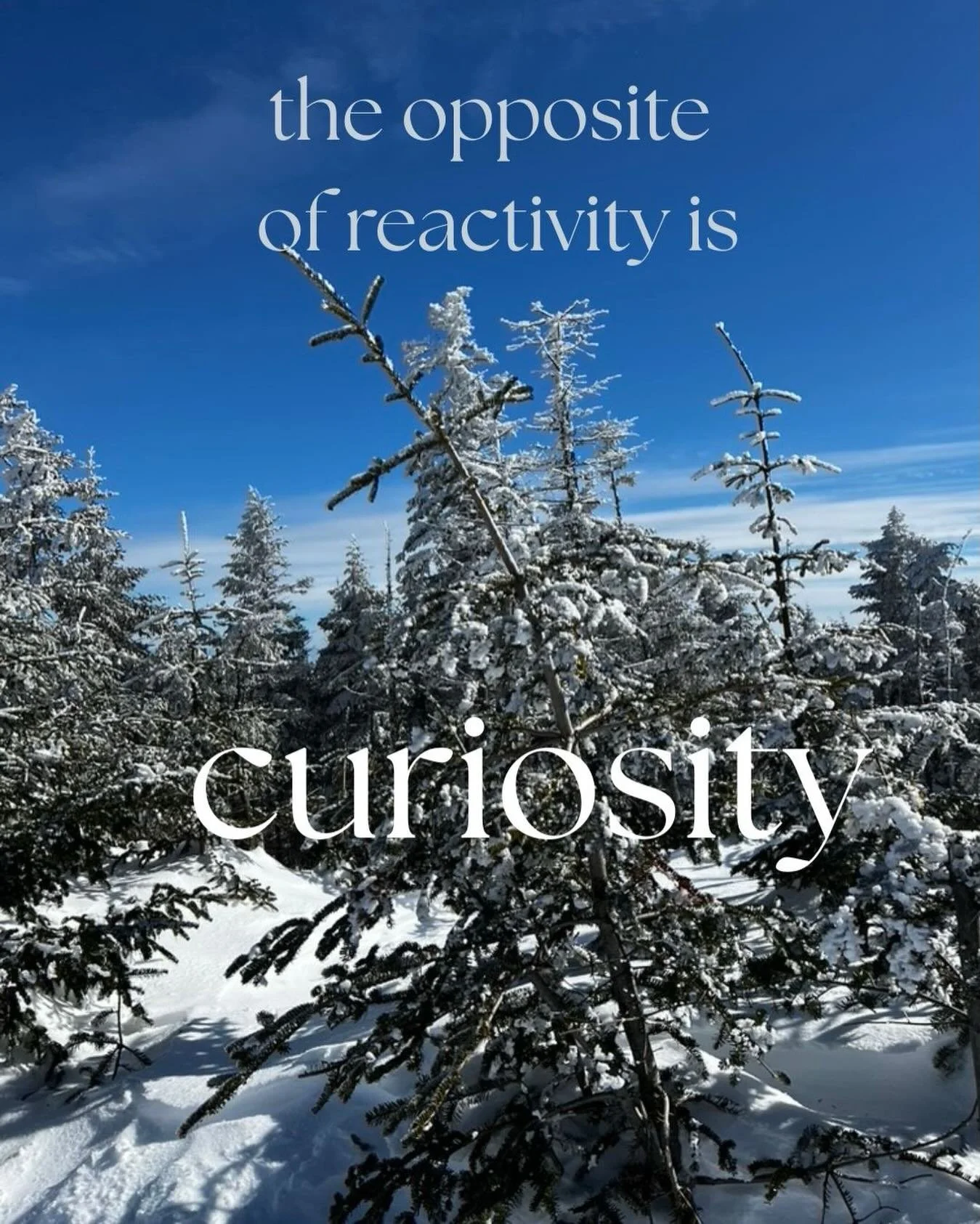 There are limitations to everyone&rsquo;s relational skills.&nbsp;
We start out with the skill level of our family of origen / aka how much generational trauma is present? From there our environment may (usually not) soften any edges created in those