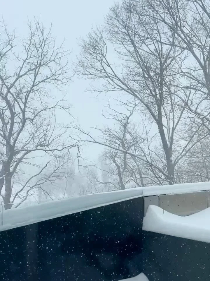 The quality of our relationships is a direct result of our capacity for presence.

When we become triggered, the nervous system shifts into a state of emotional flooding. In these moments, presence diminishes and we tend toward two protective respons