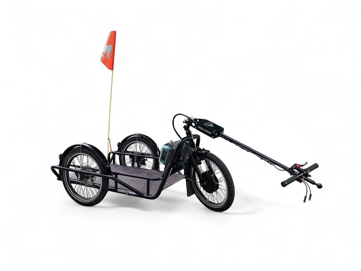 remorque vélo a assistance electrique