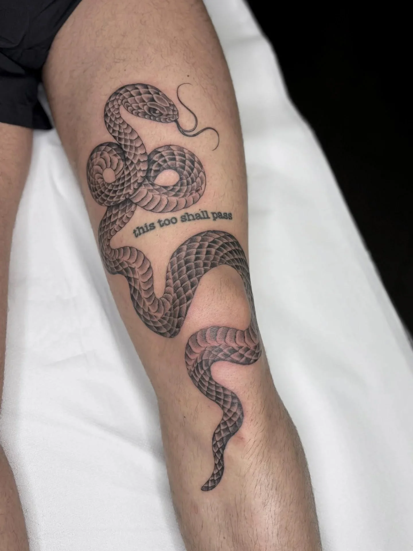 👉🏻 Swipe for Video
Snake by Resident @thepoppymoon 
All projects welcome
Bookings@origintattoolondon.com