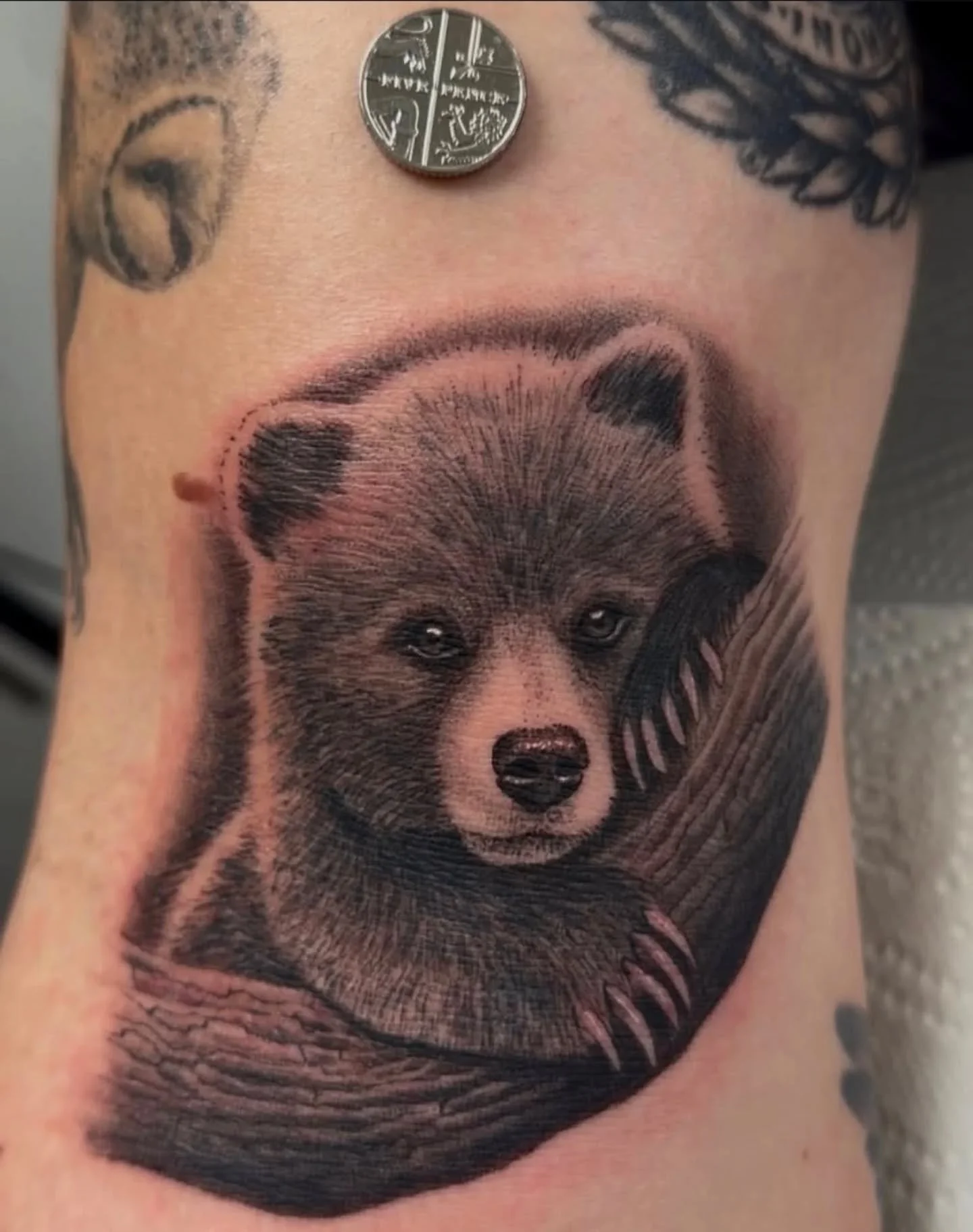 Little 🐻 Cub
By Resident @nichlashaldtattoo 
Bookings open!
Bookings@origintattoolondon.com