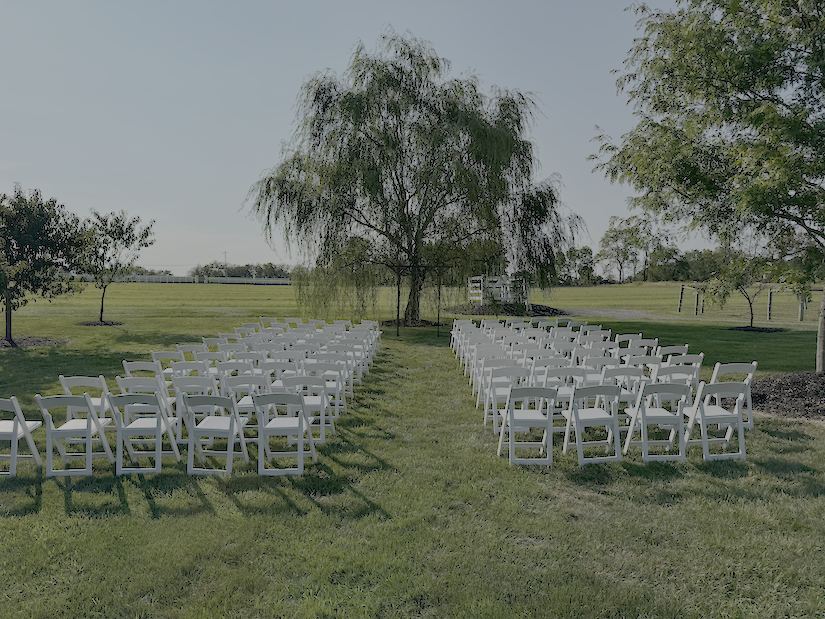 White Padded Chairs in Ceremony Seating in front of a tree.