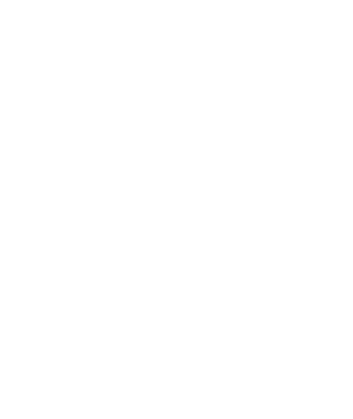 Громадська організація &quot;Плем&#39;я&quot;