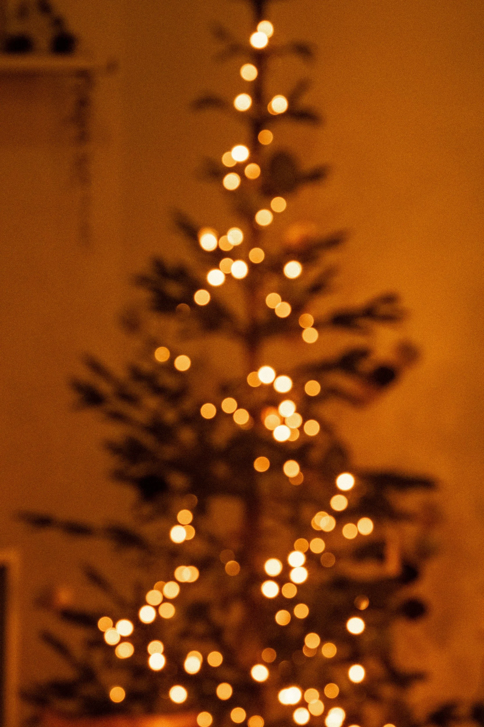 A tree with red ornaments