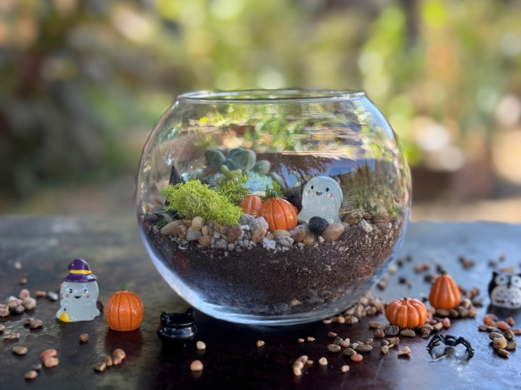 A round terrarium filled with succulents and spooky decorations